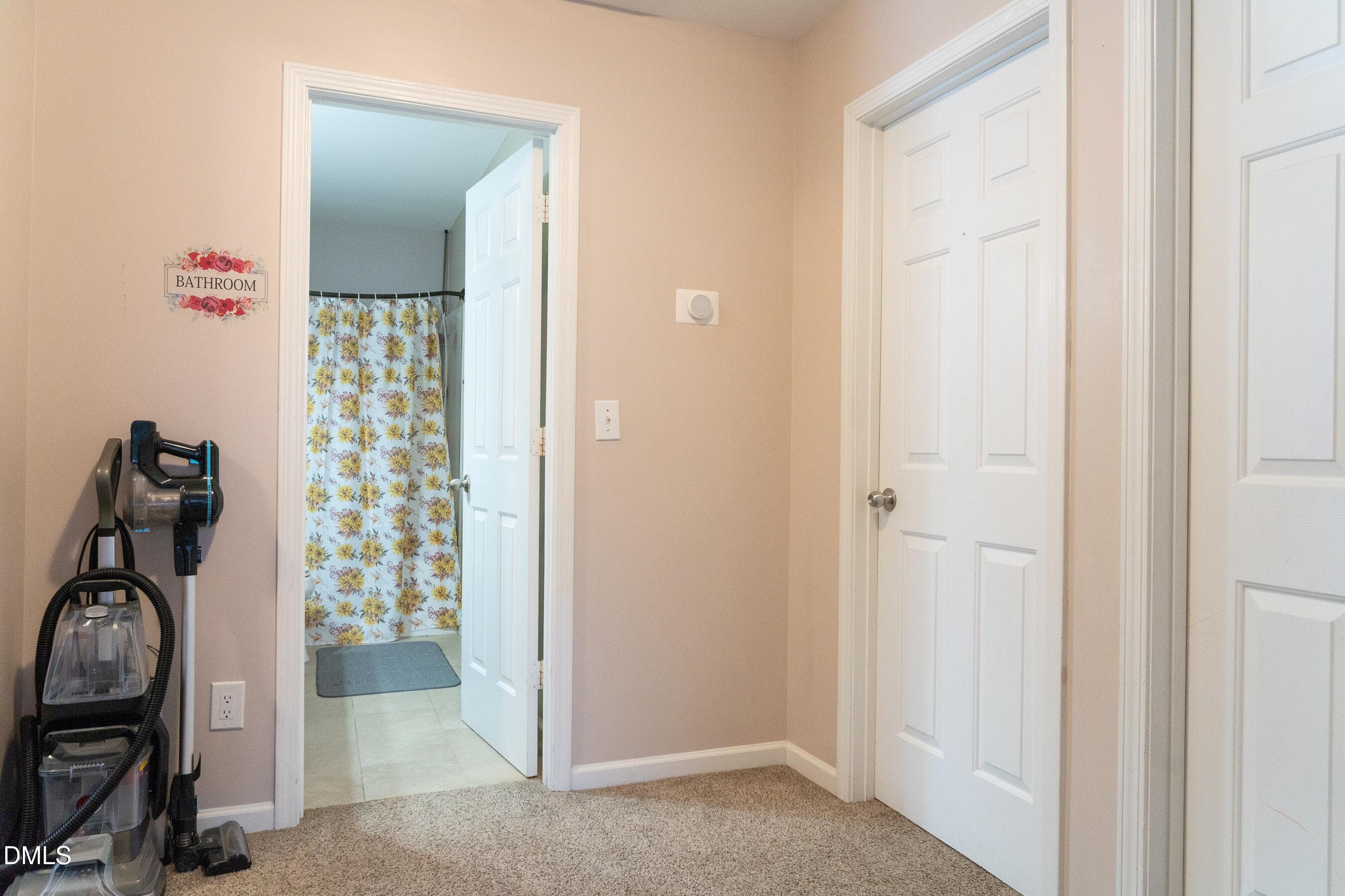 Upstairs Loft bath door - 3304 Mackinac Island Lane, Raleigh, NC 27610, Raleigh