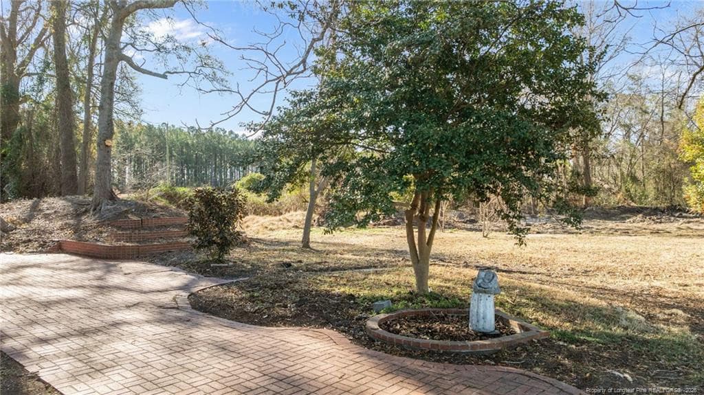 Photo 7 - 1737 W Carthage Road, Lumberton, NC 28360
