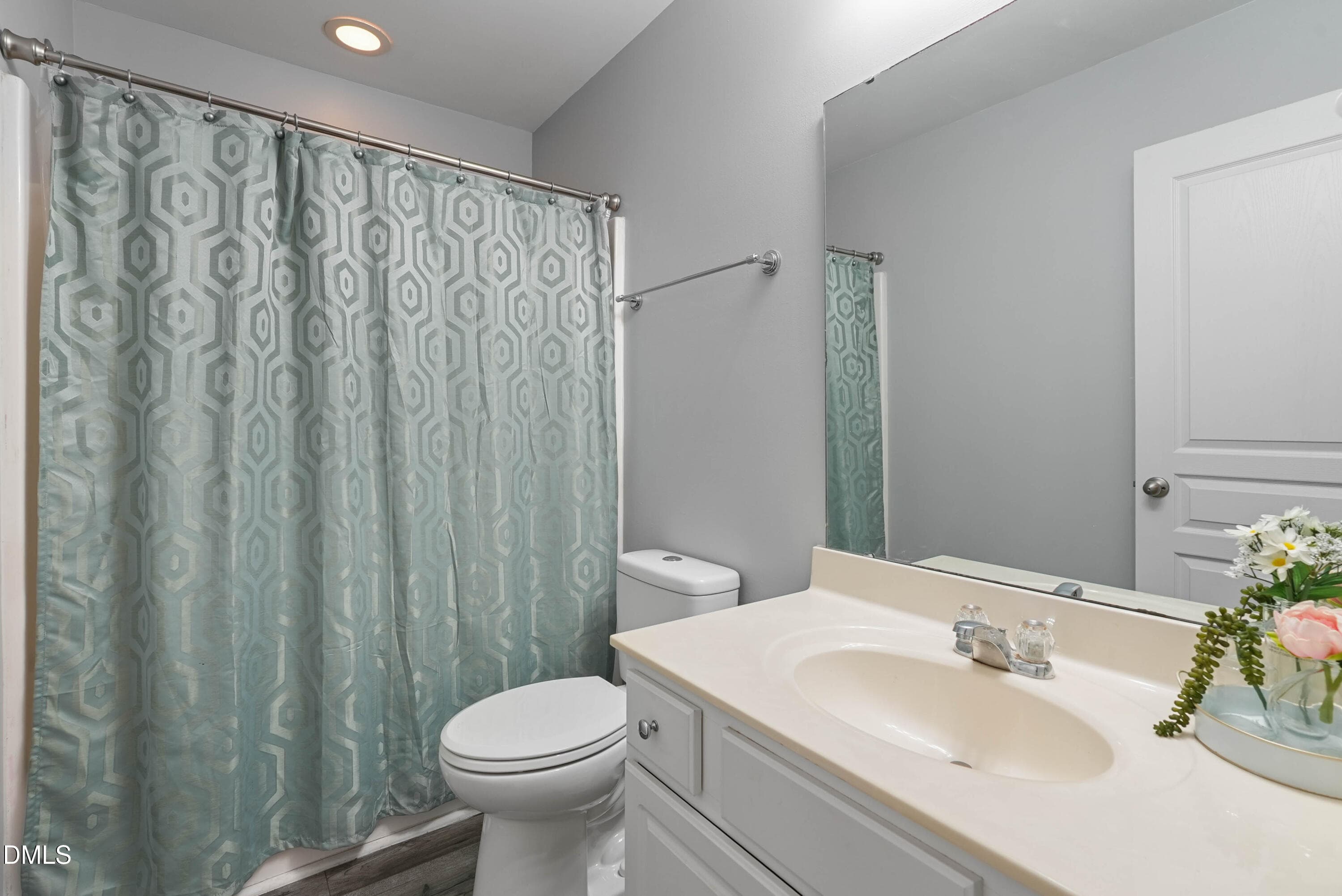 Hall Bath - 7850 Spungold Street, Raleigh, NC 27617, Raleigh