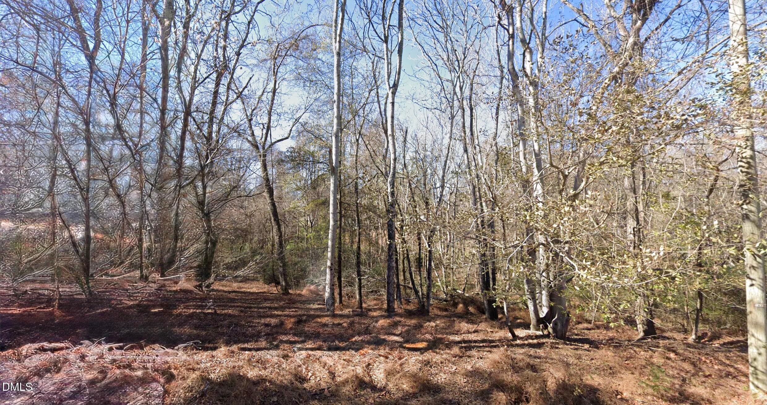 Lot - 0 Sloan Road, Roxboro, NC 27574