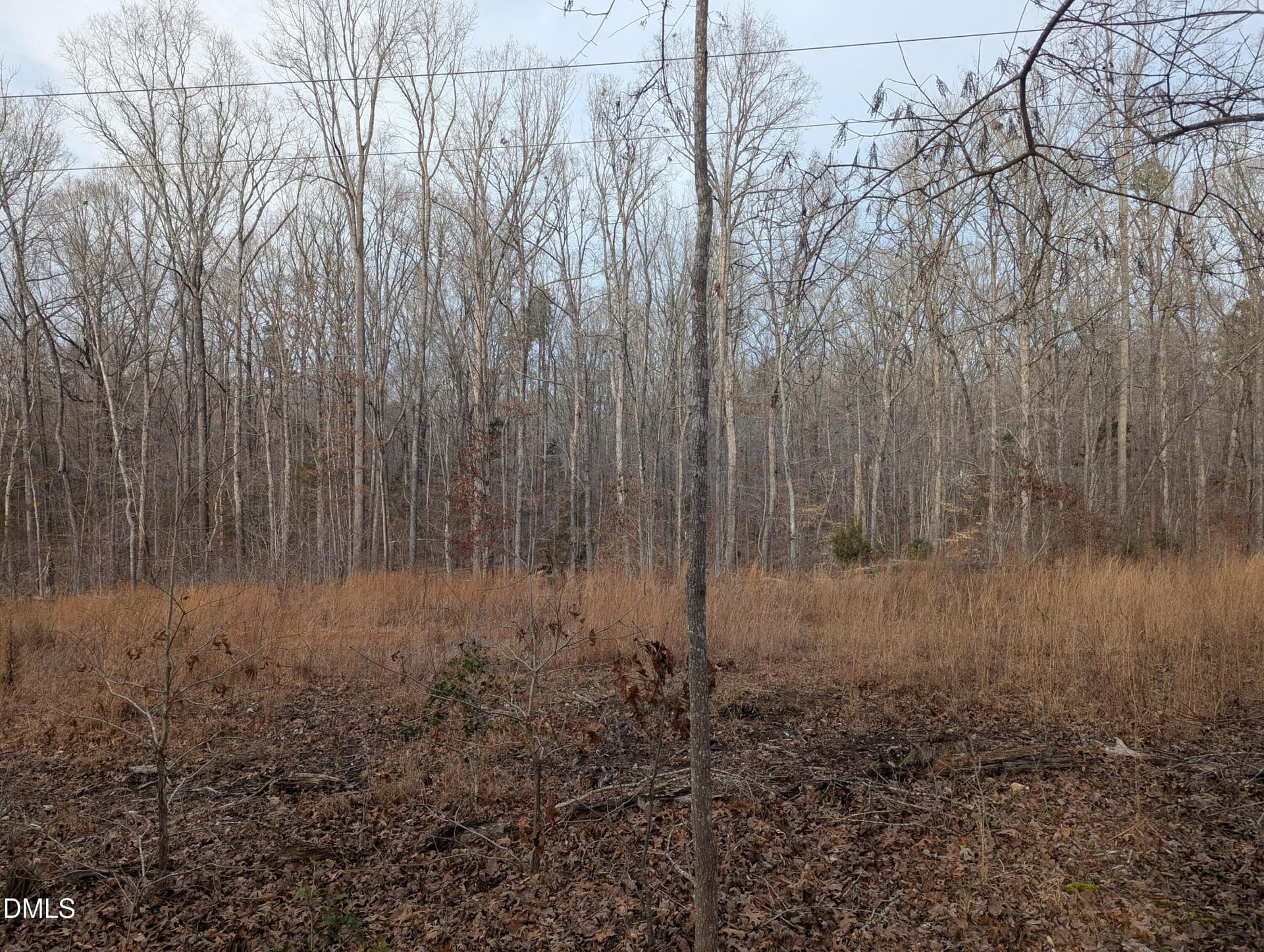 3_beyc69e3d10d8f0b9 - 0 Dirgie Mine Road, Roxboro, NC 27574