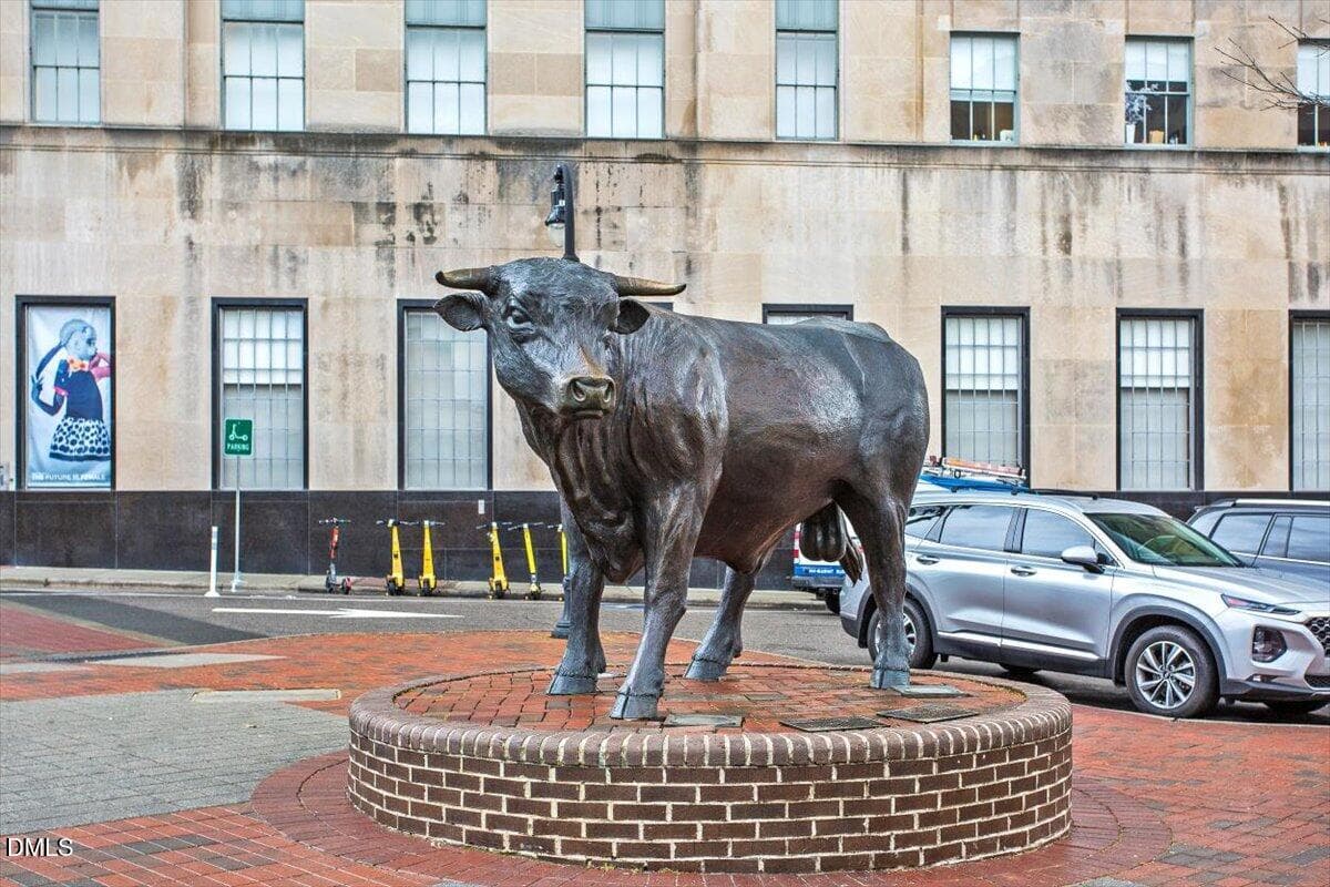downtown durham 16 (1) (1) - 3652 Guess Road, Durham, NC 27705, Durham