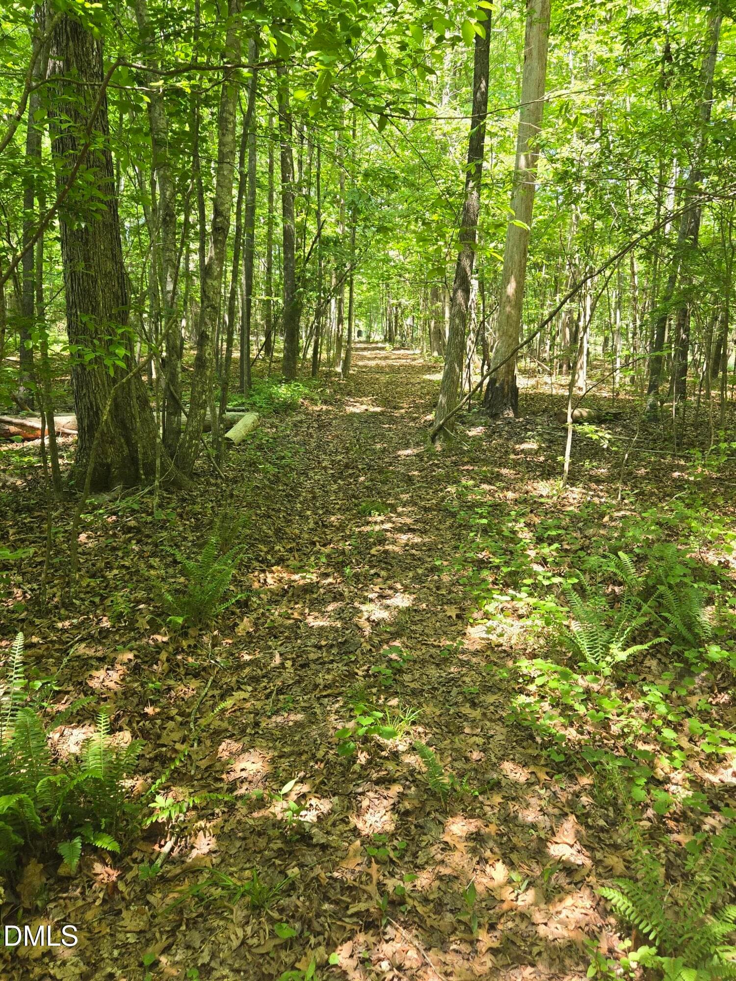 2026-04-24 12.12.41 - 5022 Mount Hermon Rock Crk Road, Snow Camp, NC 27349