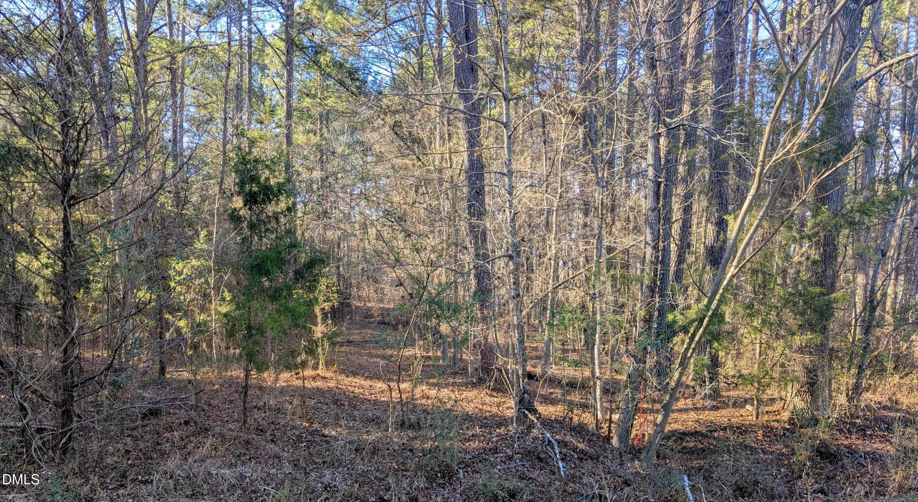 2_beyc69ea2f948ff37 - 0 Shocco Springs, Warrenton, NC 27589