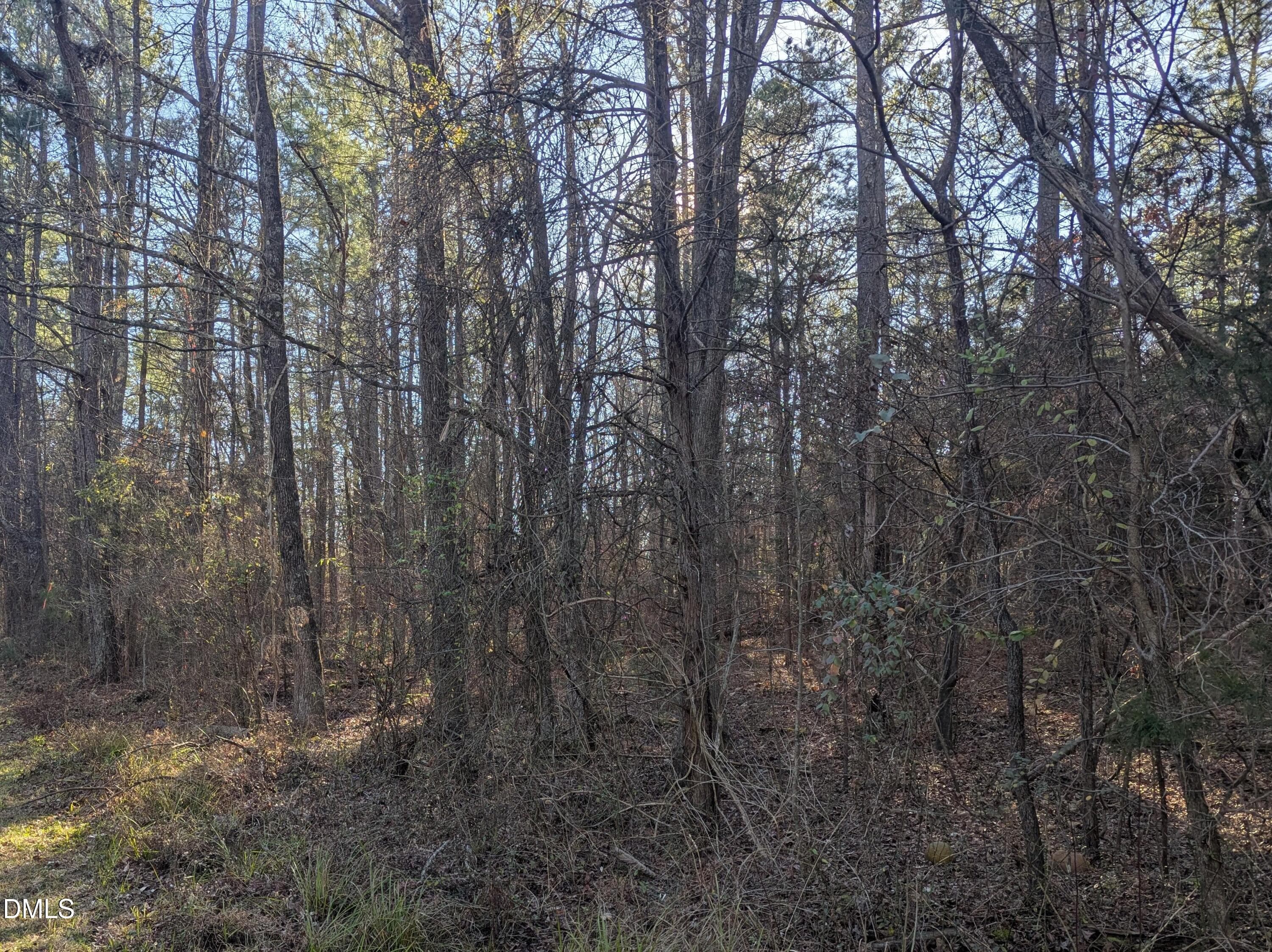 3_beyc69ea2fe8a1c99 - 0 Shocco Springs, Warrenton, NC 27589