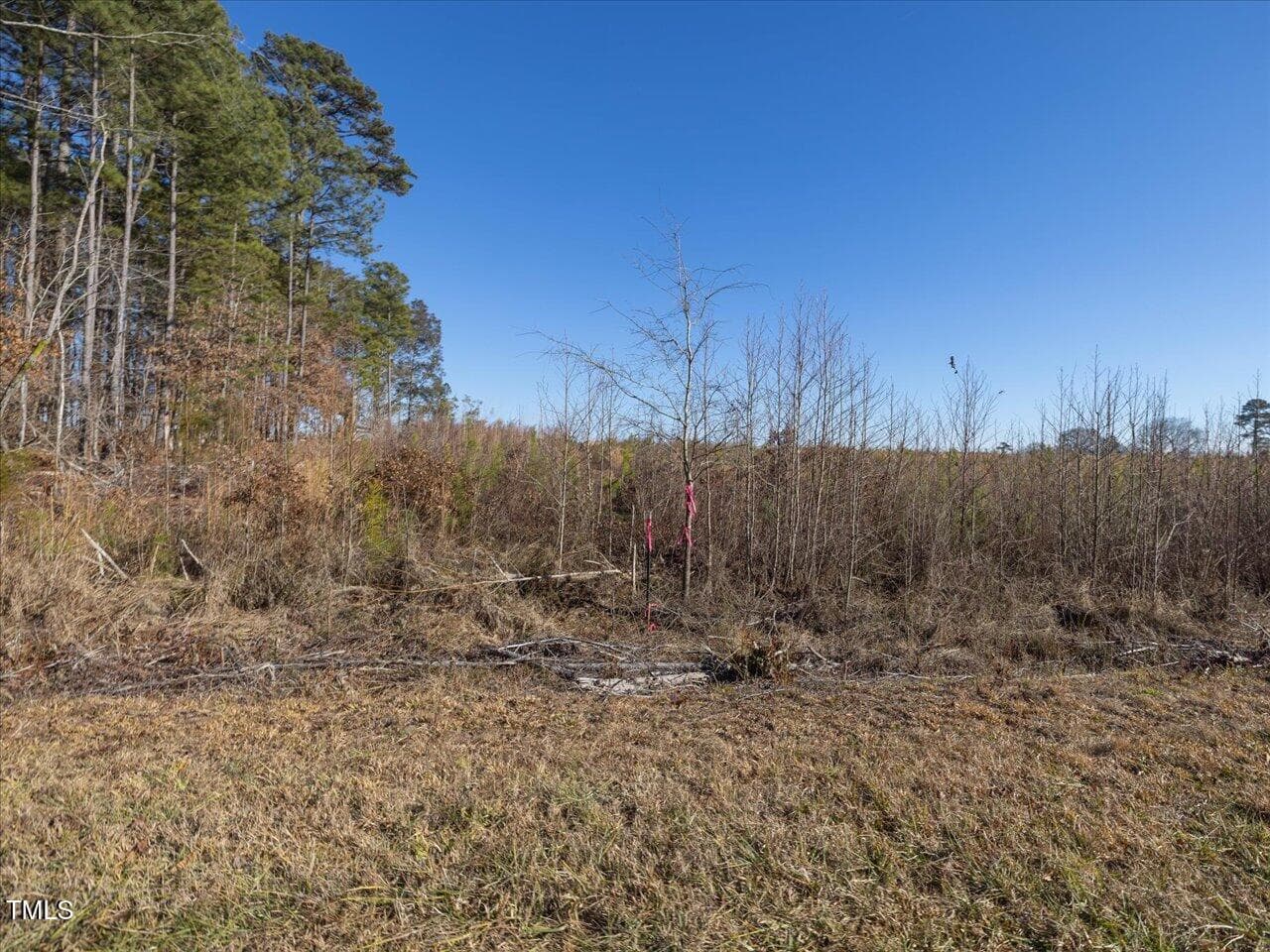 09-009-Chatham-Parcel-8664-Tract2-202501 - 00 Roberts Chapel Road, Goldston, NC 27252