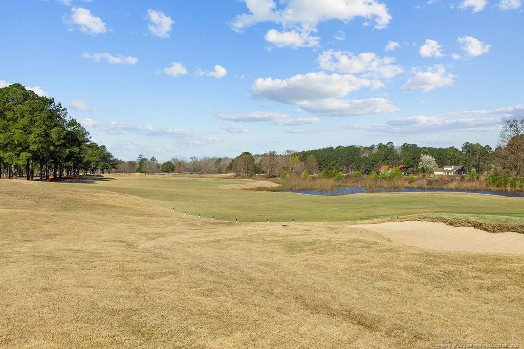 Photo 20 - 873 Castleberry Court, Vass, NC 28394