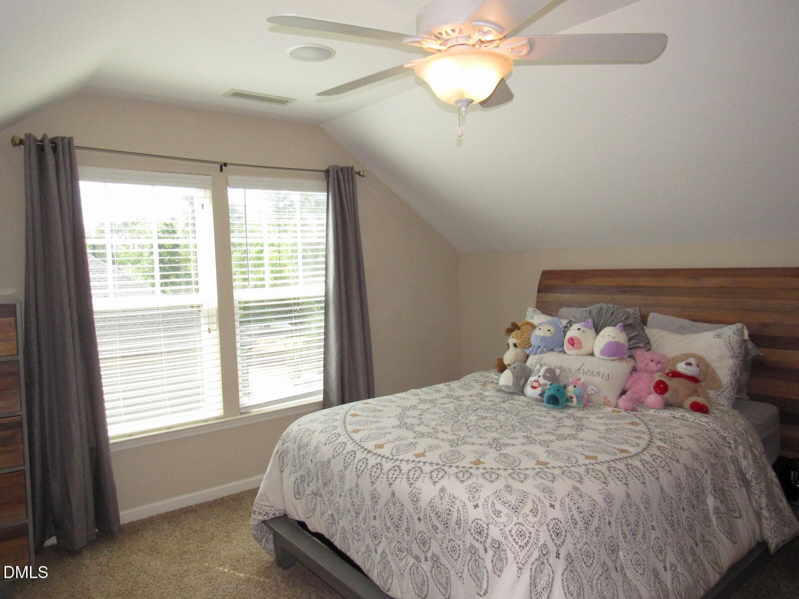 Third floor bonus - 724 Forrest Lane, Creedmoor, NC 27522