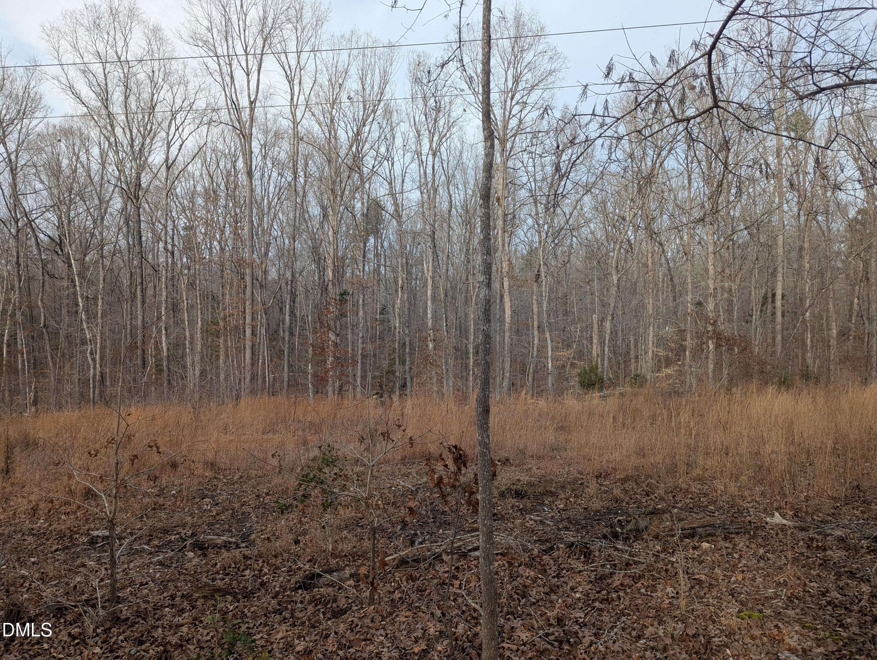 2 - 00 Dirgie Mine Road, Roxboro, NC 27574