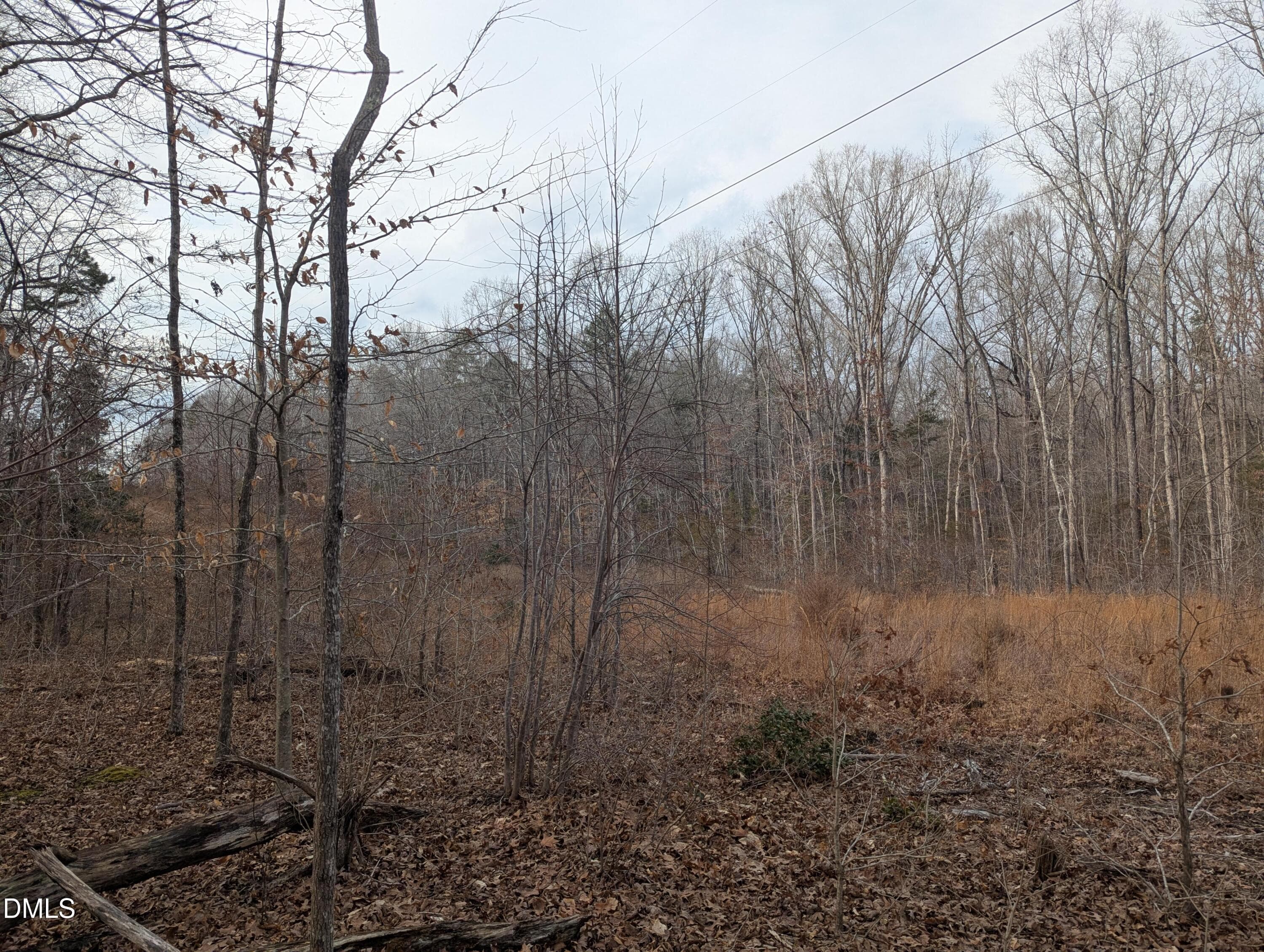 3 - 00 Dirgie Mine Road, Roxboro, NC 27574