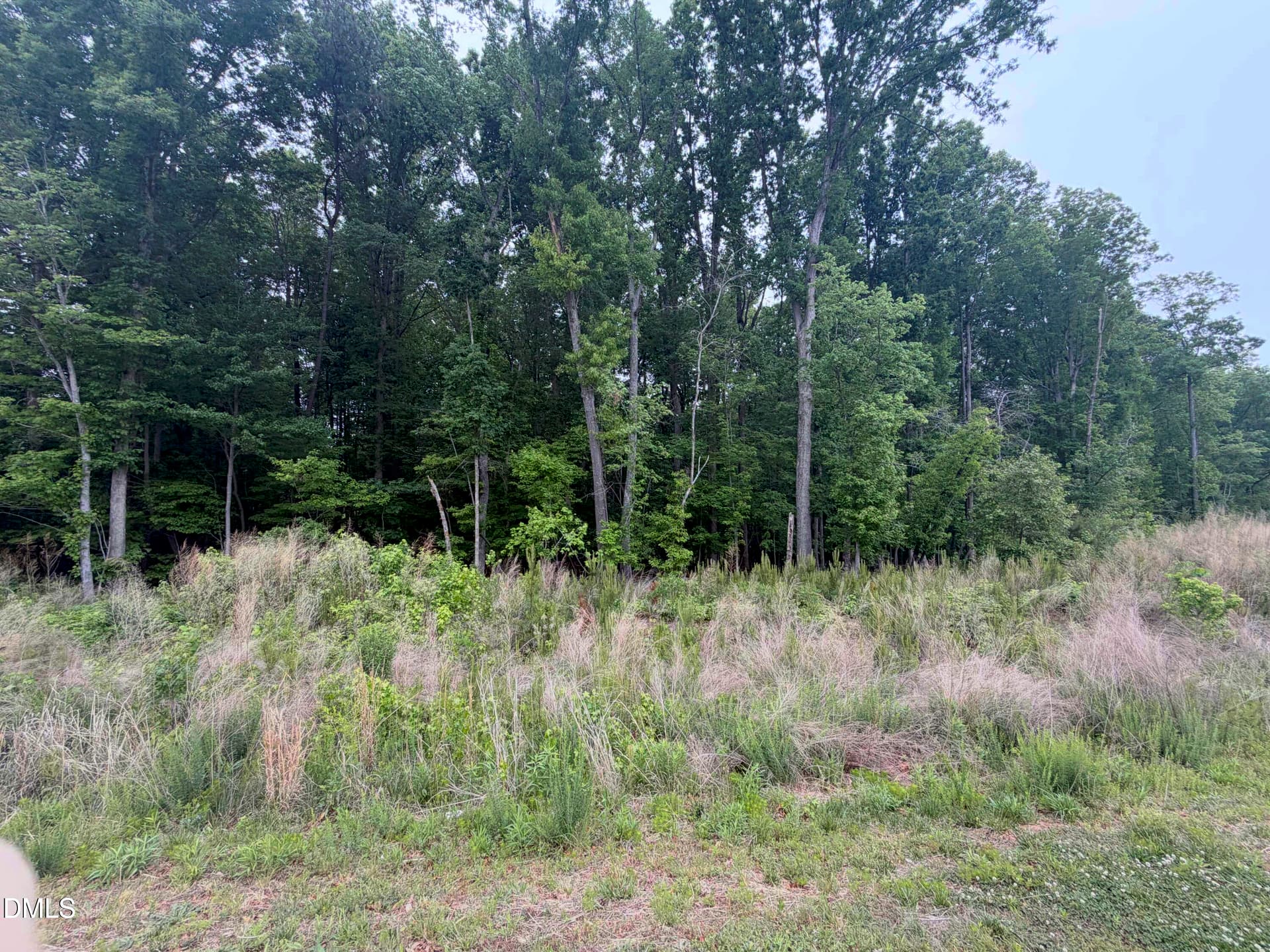 KF4 - 4317 Kildaire Farm Road, Apex, NC 27539