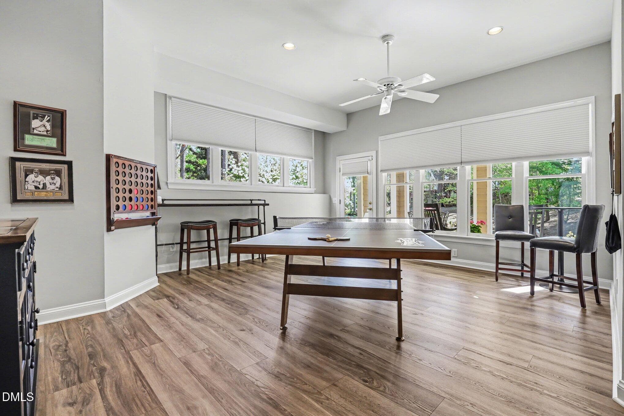 Lower Level - 81006 Alexander, Chapel Hill, NC 27517, Chapel Hill