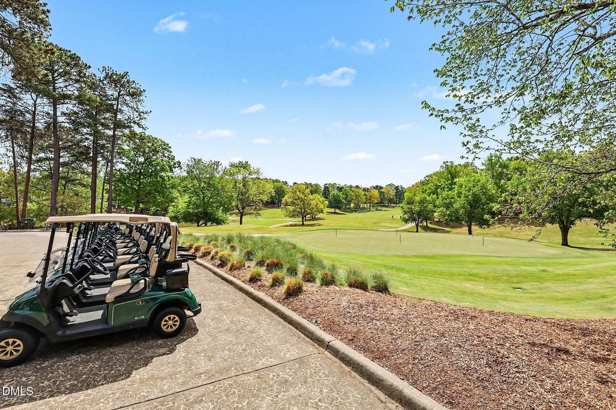 Jack Nicklaus Golf Course - 81006 Alexander, Chapel Hill, NC 27517, Chapel Hill