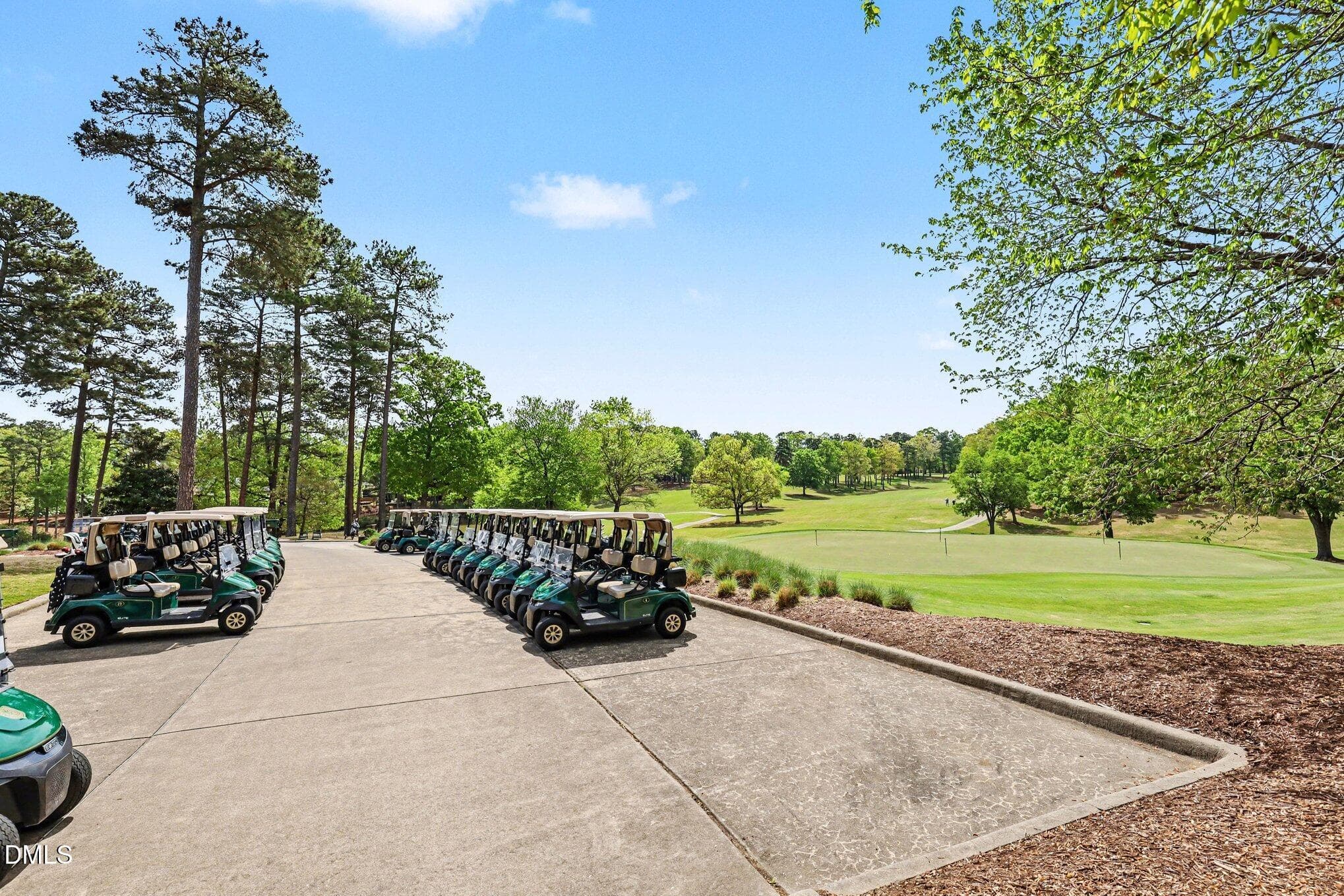 Golf Course - 81006 Alexander, Chapel Hill, NC 27517, Chapel Hill