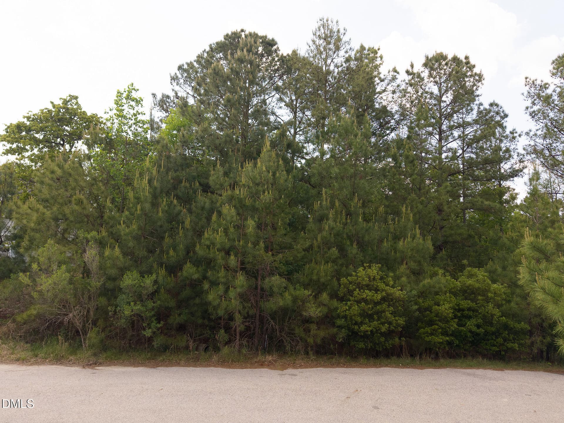 BNPhotography-127Chason-2 - 127 Chason Terrace, Sanford, NC 27332