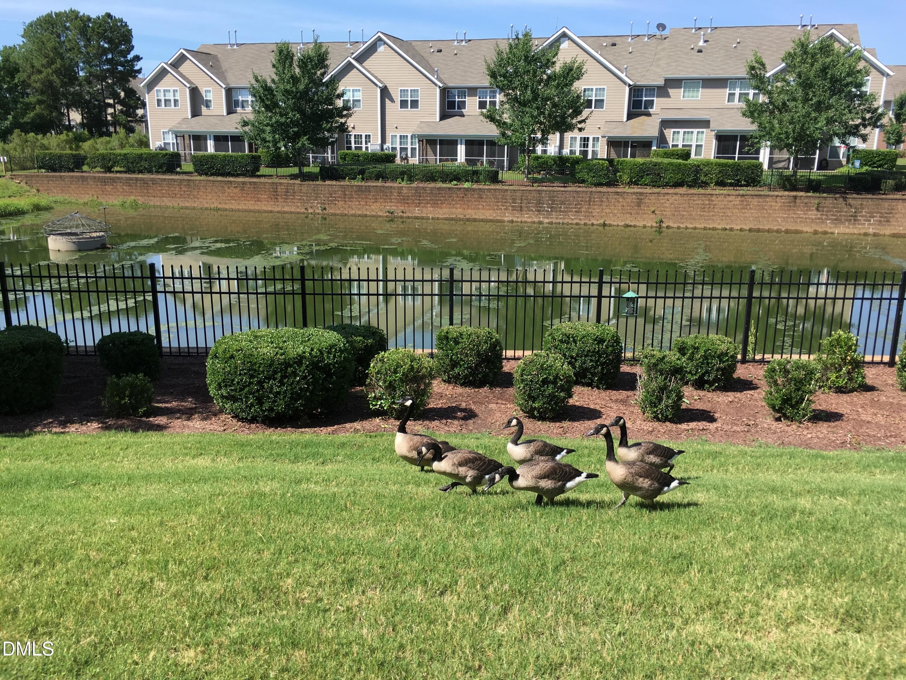 Serenity backyard - 9135 Wooden Road, Raleigh, NC 27617, Raleigh