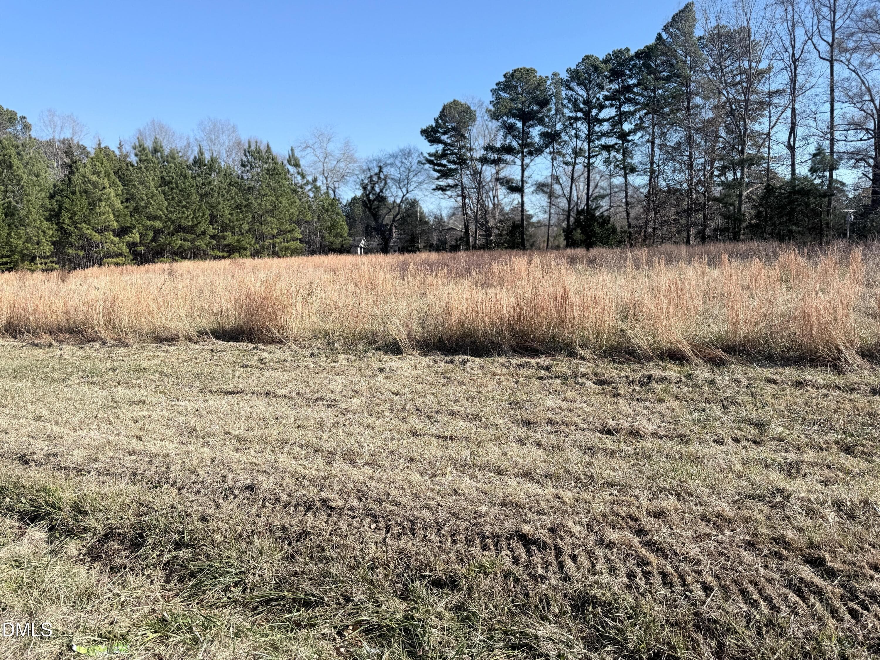 Pic1 - 111 Berea Road, Rougemont, NC 27572