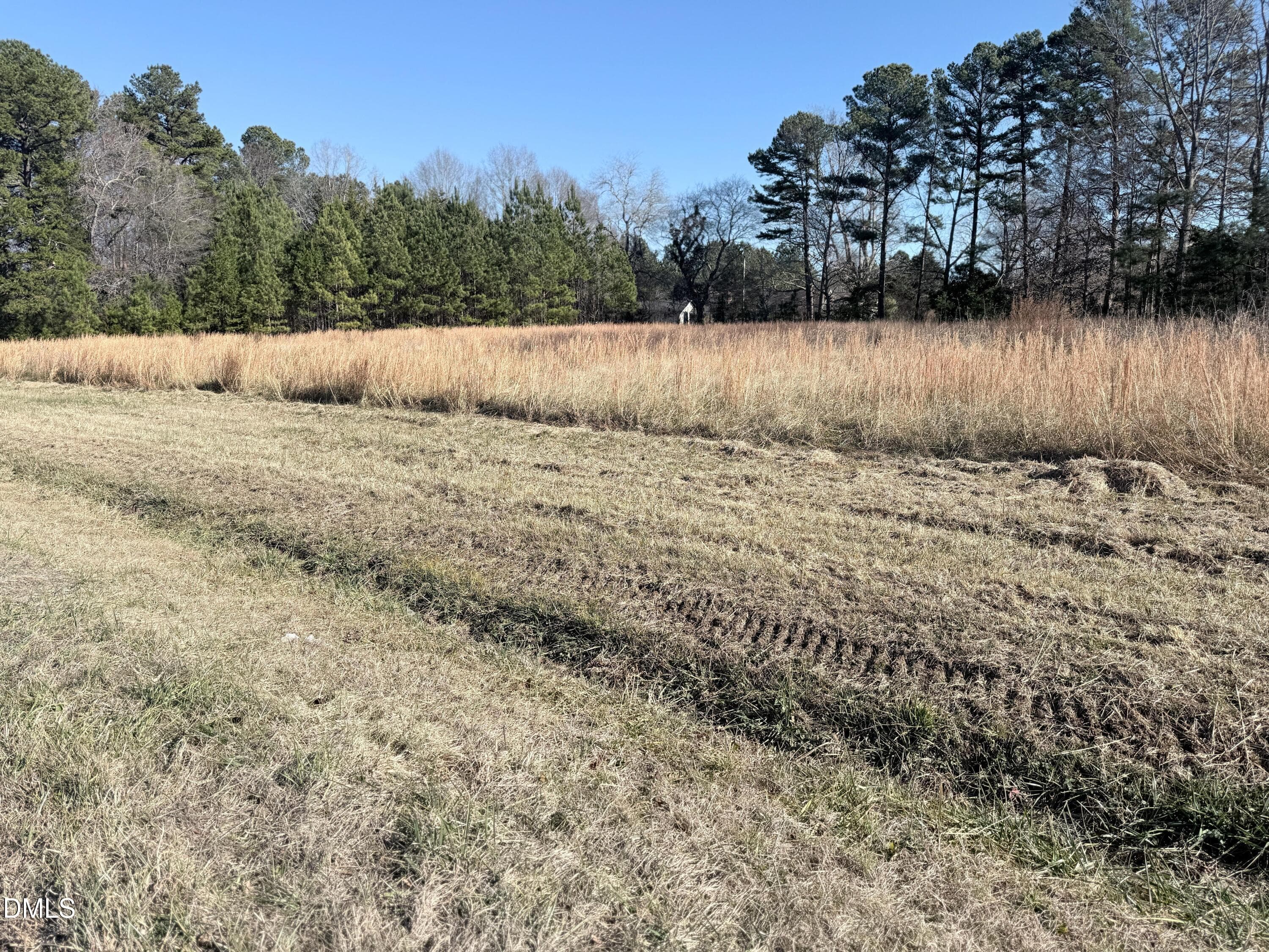 Pic8 - 111 Berea Road, Rougemont, NC 27572