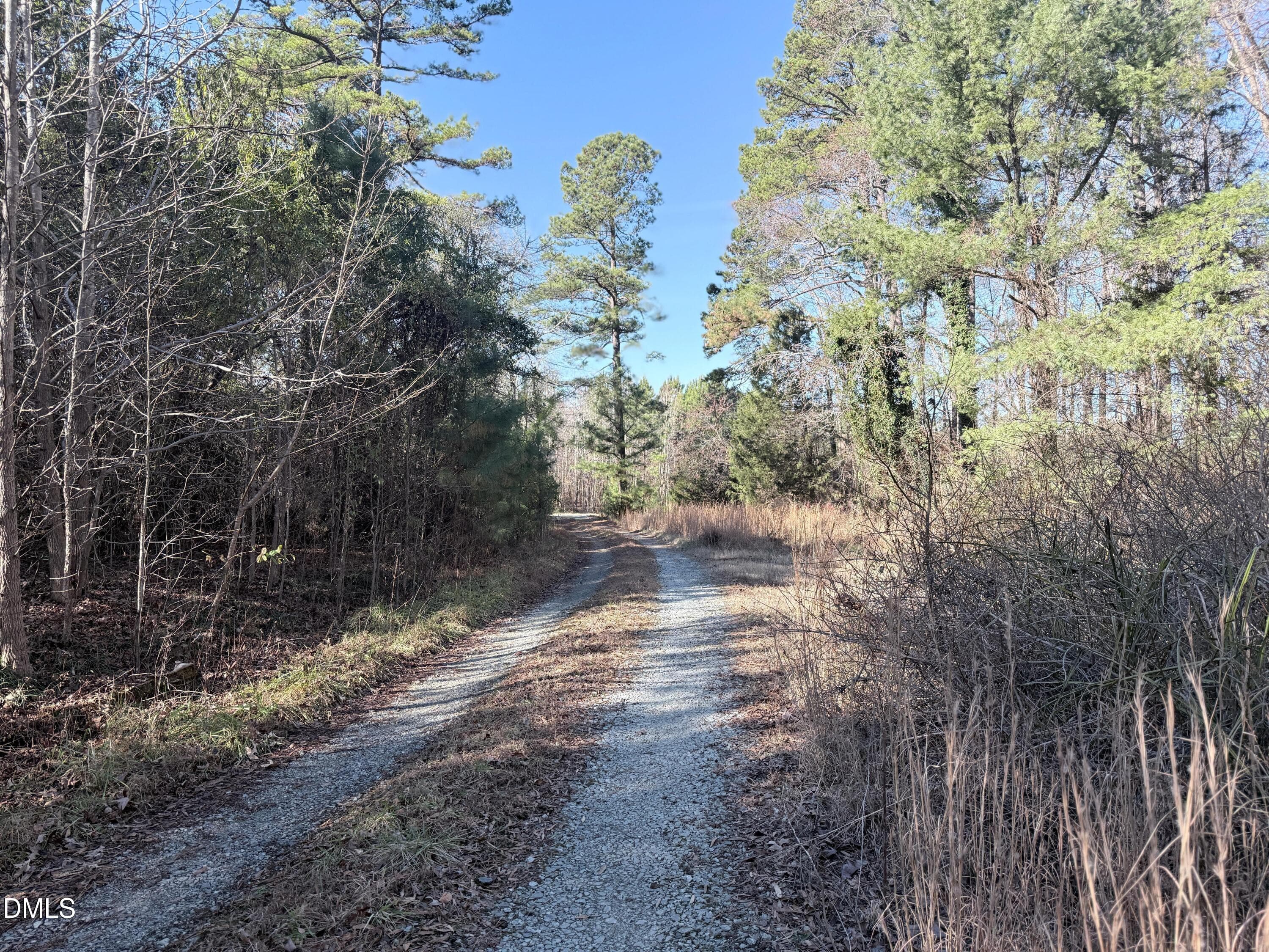 Pic14 - 111 Berea Road, Rougemont, NC 27572