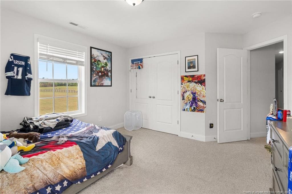 Photo 34 - 319 Rocking Horse Lane, Raeford, NC 28376