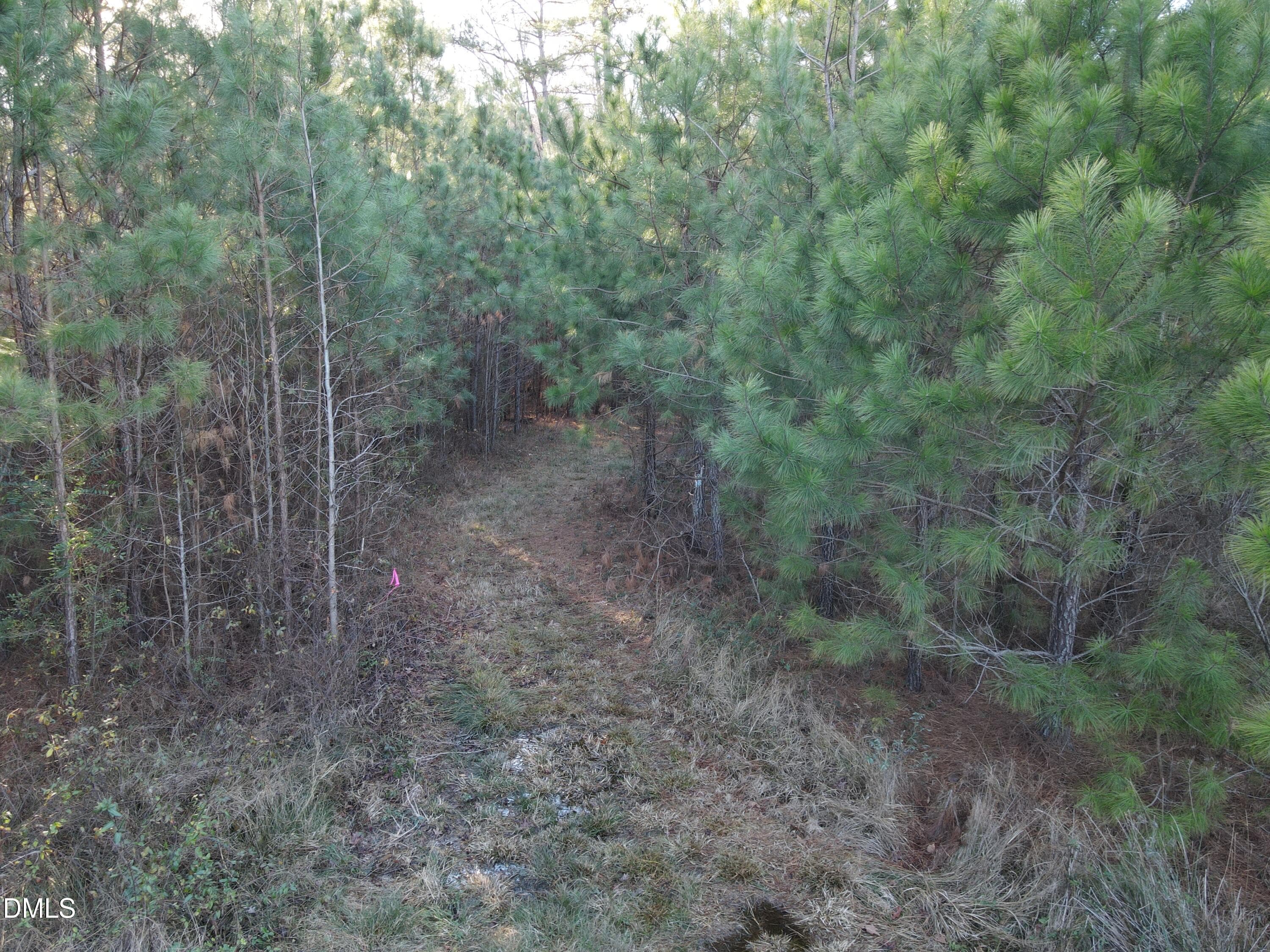 SR MLS 32 - 0 Sykes Road, Nashville, NC 27856