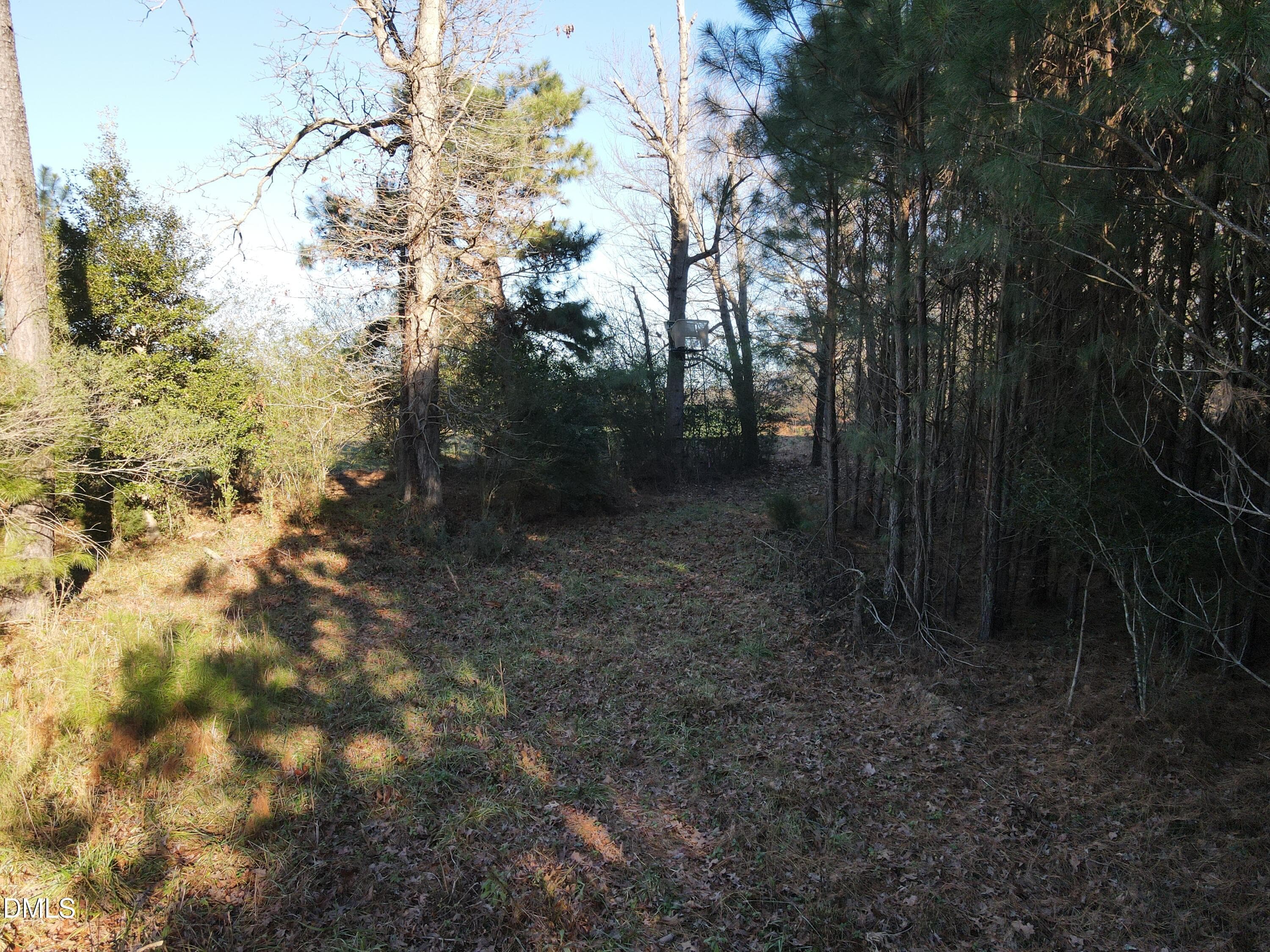 SR MLS 34 - 0 Sykes Road, Nashville, NC 27856