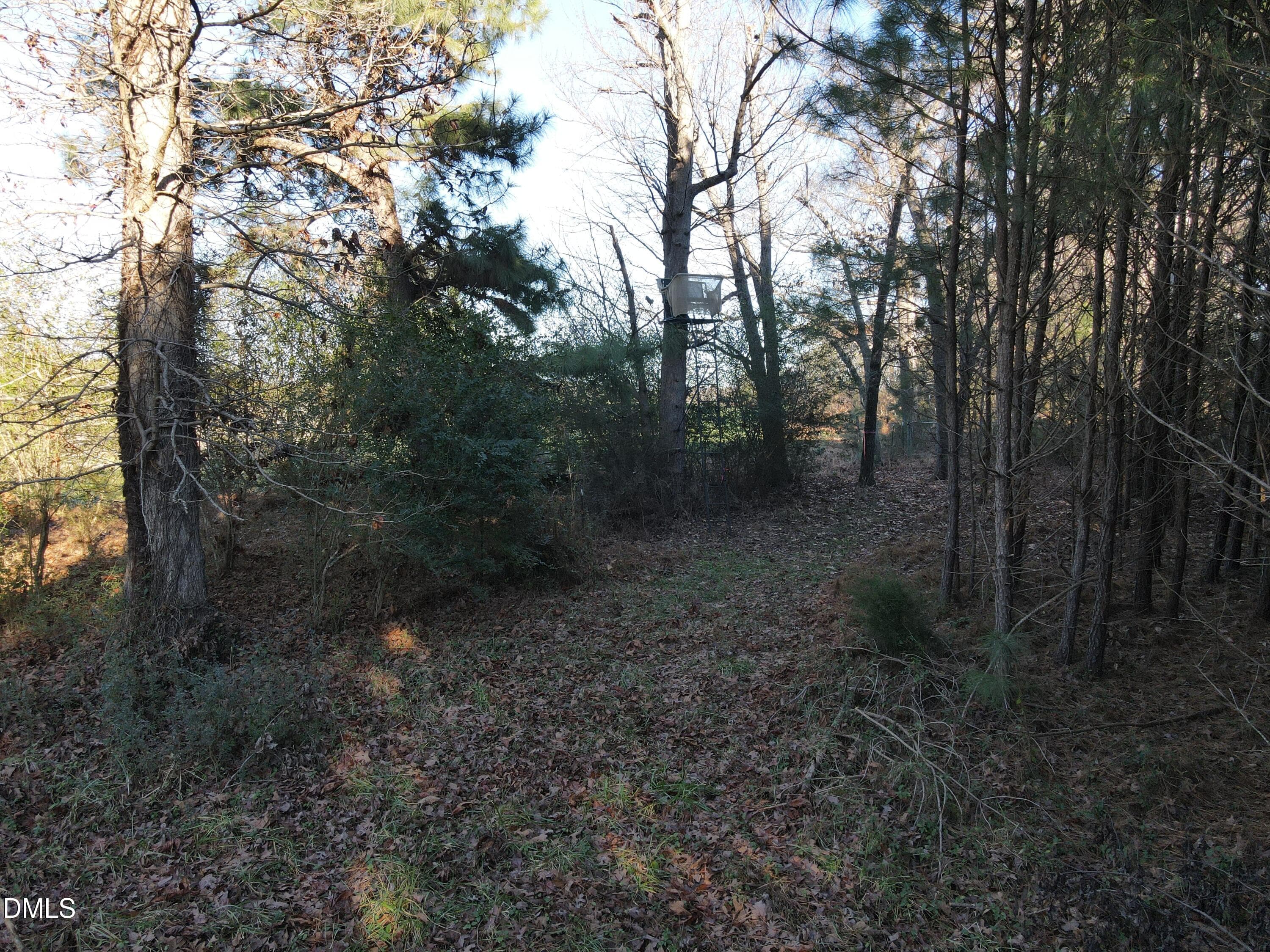 SR MLS 35 - 0 Sykes Road, Nashville, NC 27856
