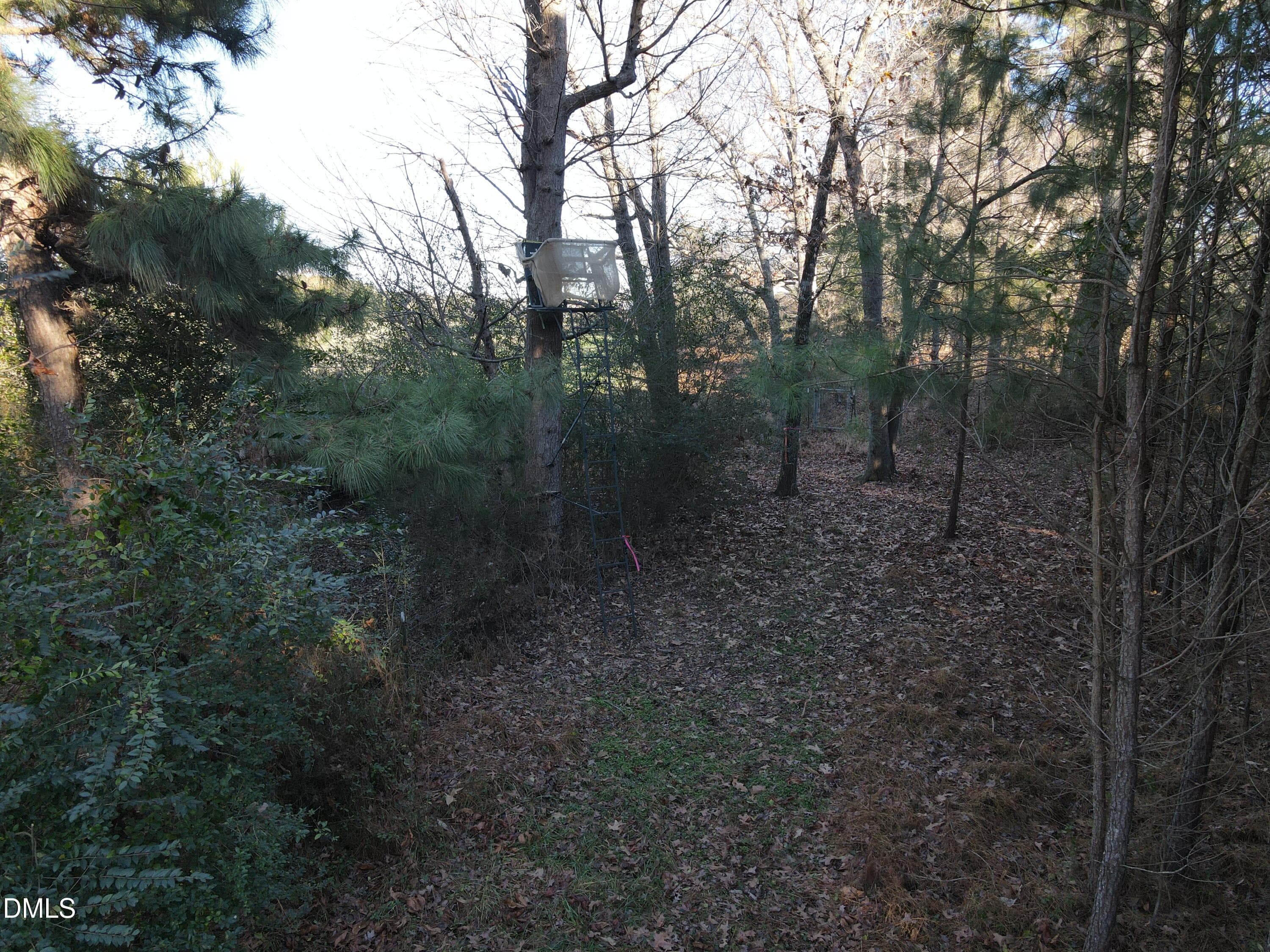 SR MLS 36 - 0 Sykes Road, Nashville, NC 27856