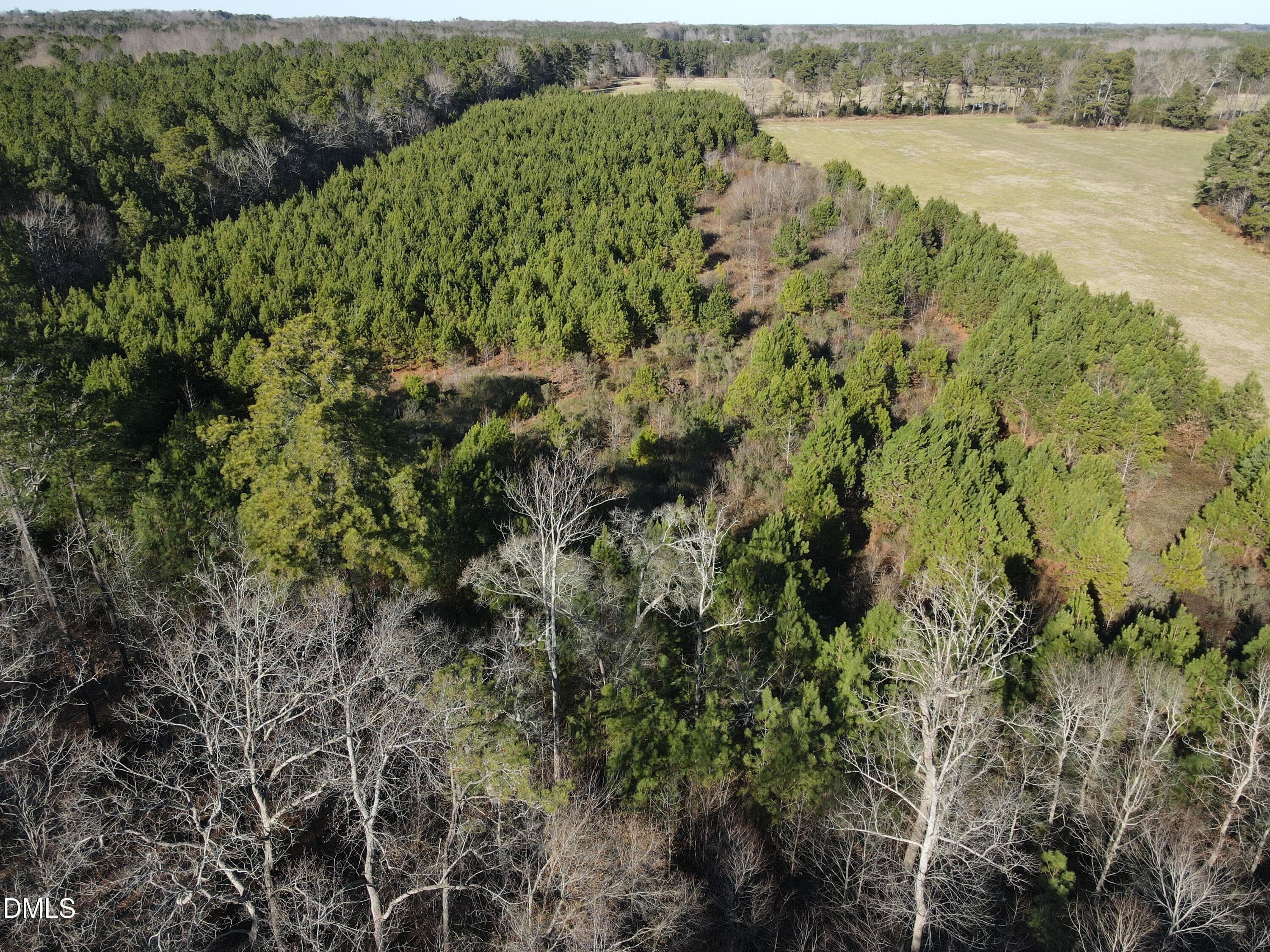 SR MLS 37 - 0 Sykes Road, Nashville, NC 27856