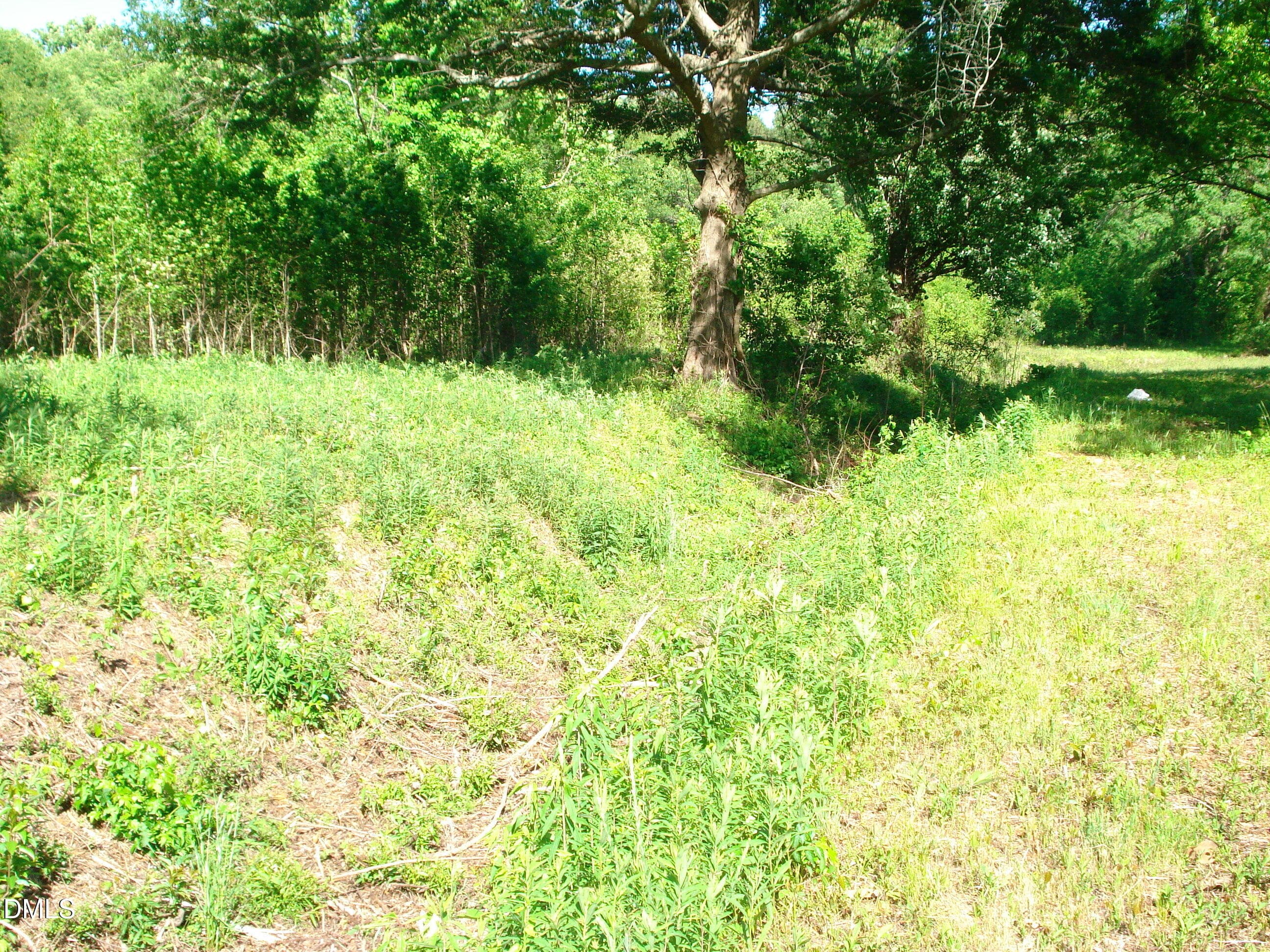 DSC09305 - 00 Nc 82 Highway, Dunn, NC 28334