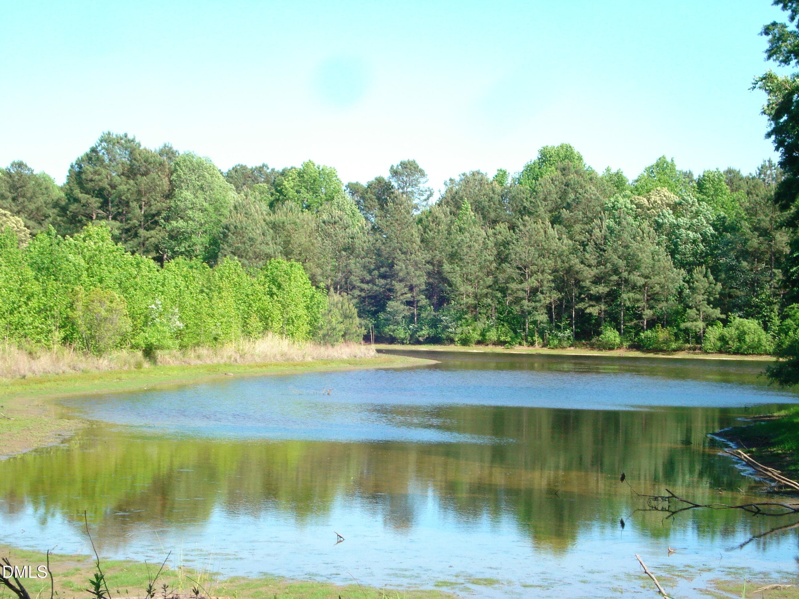 DSC09311 - 00 Nc 82 Highway, Dunn, NC 28334
