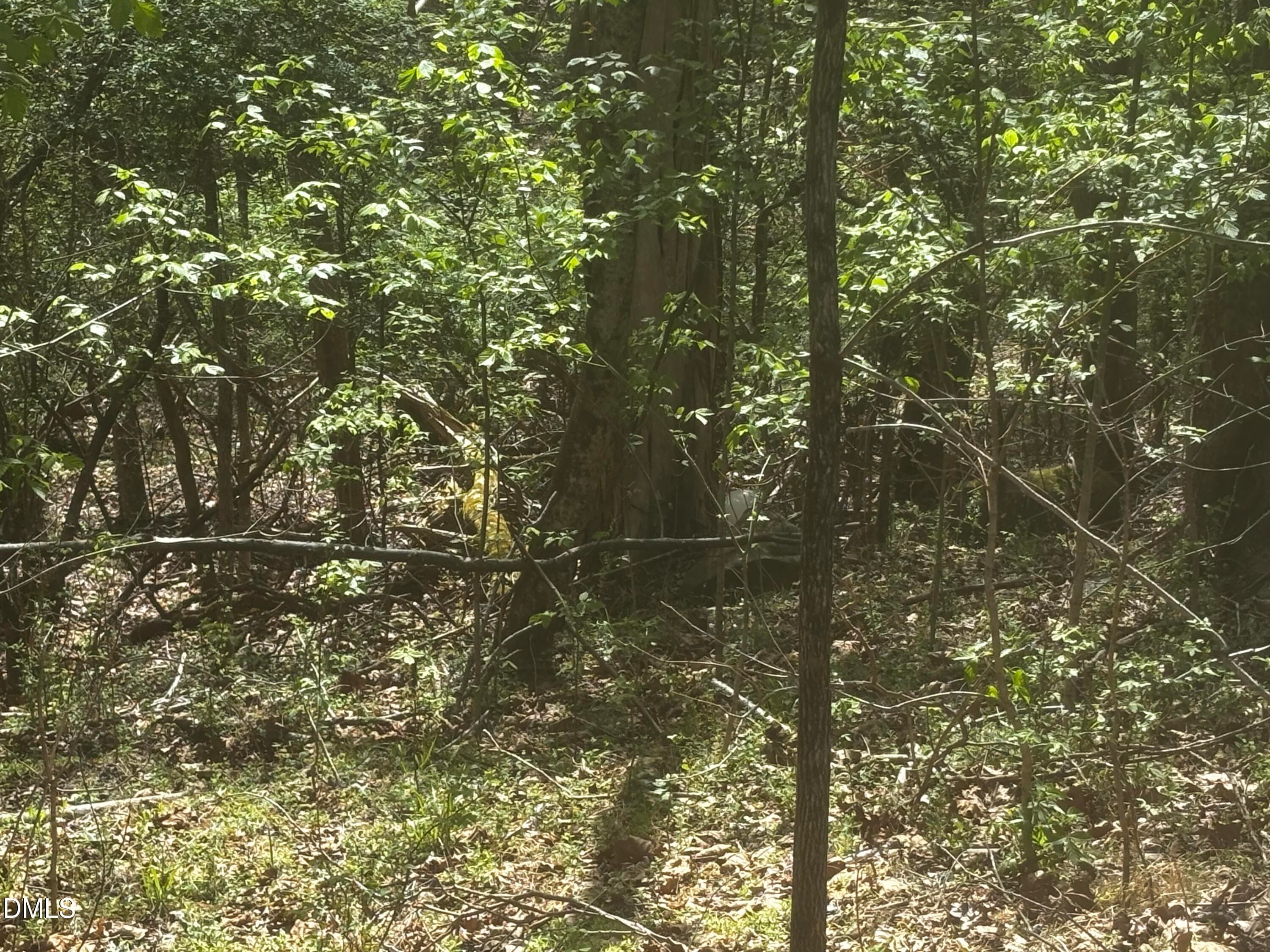 IMG_0399 - 16 Quail Hollow Drive, Roxboro, NC 27574