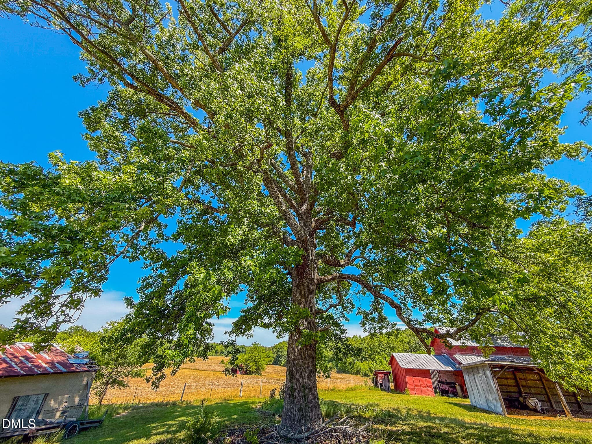 60 - 1001 Charlie Reade, Timberlake, NC 27583