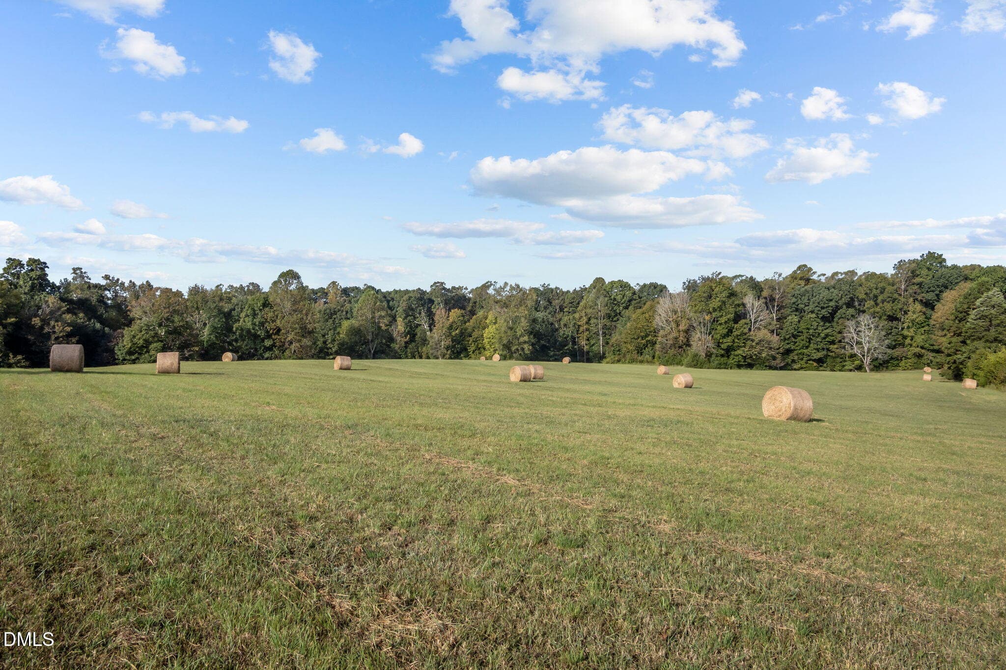 15-web-or-mls-P1086494 - 9400 Wheelers Church Road, Hurdle Mills, NC 27541