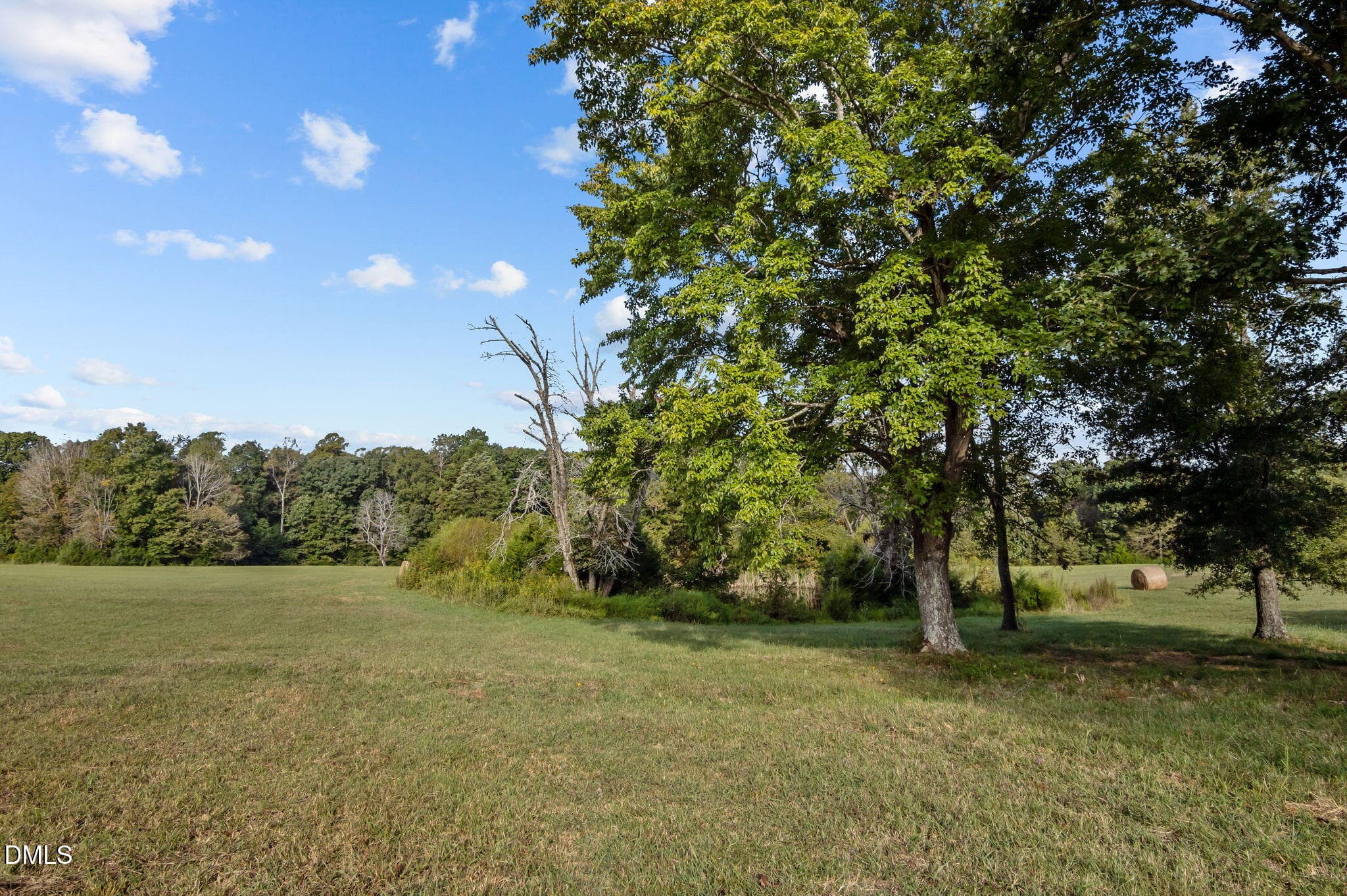 17-web-or-mls-P1086496 - 9400 Wheelers Church Road, Hurdle Mills, NC 27541
