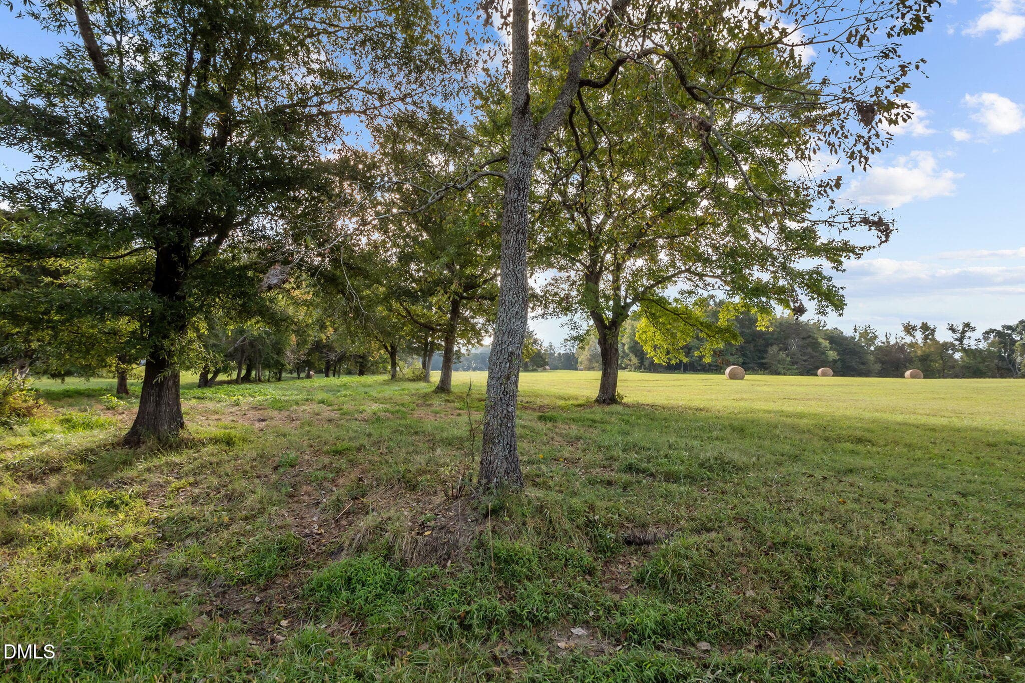18-web-or-mls-P1086499 - 9400 Wheelers Church Road, Hurdle Mills, NC 27541