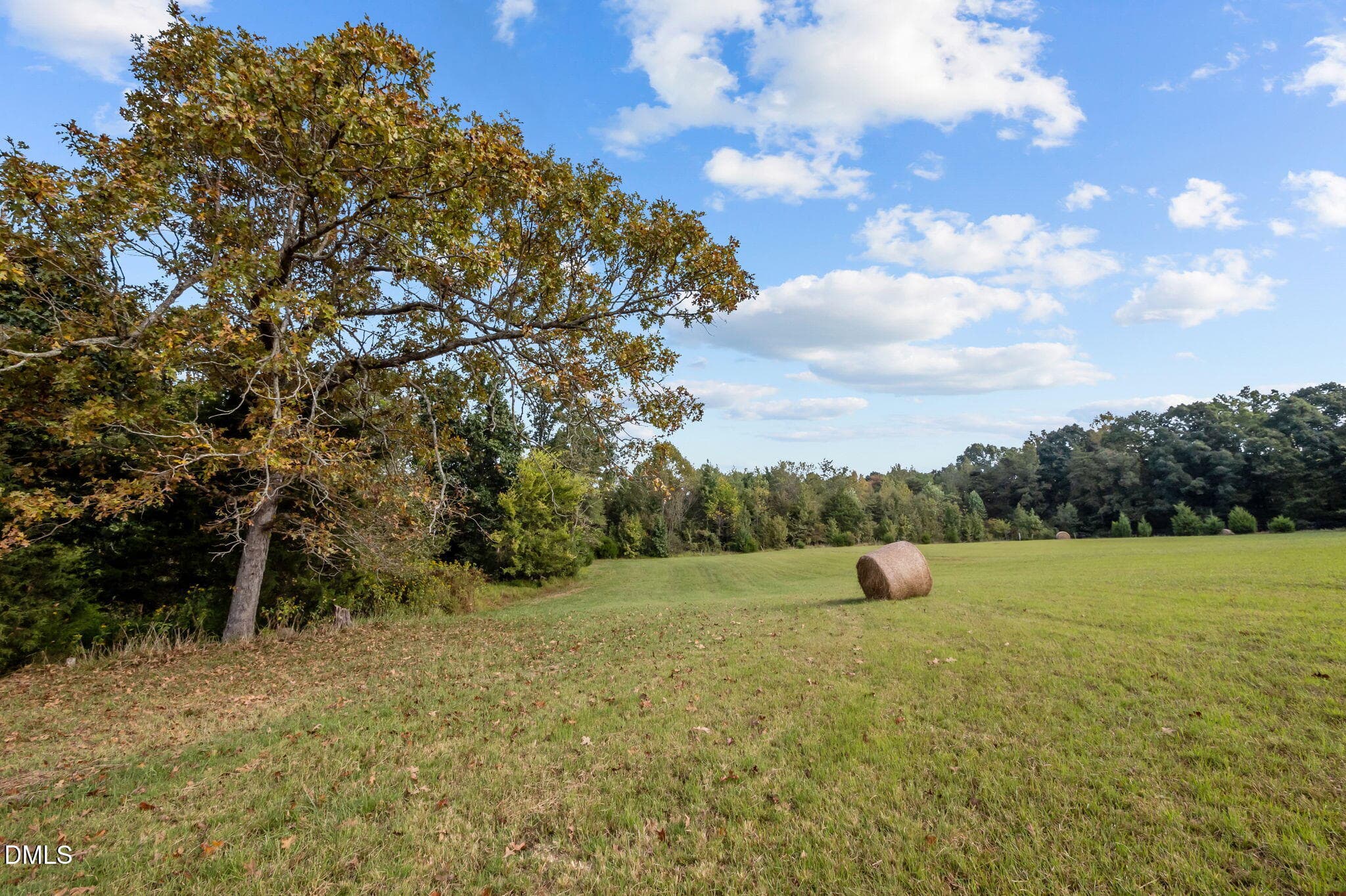20-web-or-mls-P1086503 - 9400 Wheelers Church Road, Hurdle Mills, NC 27541