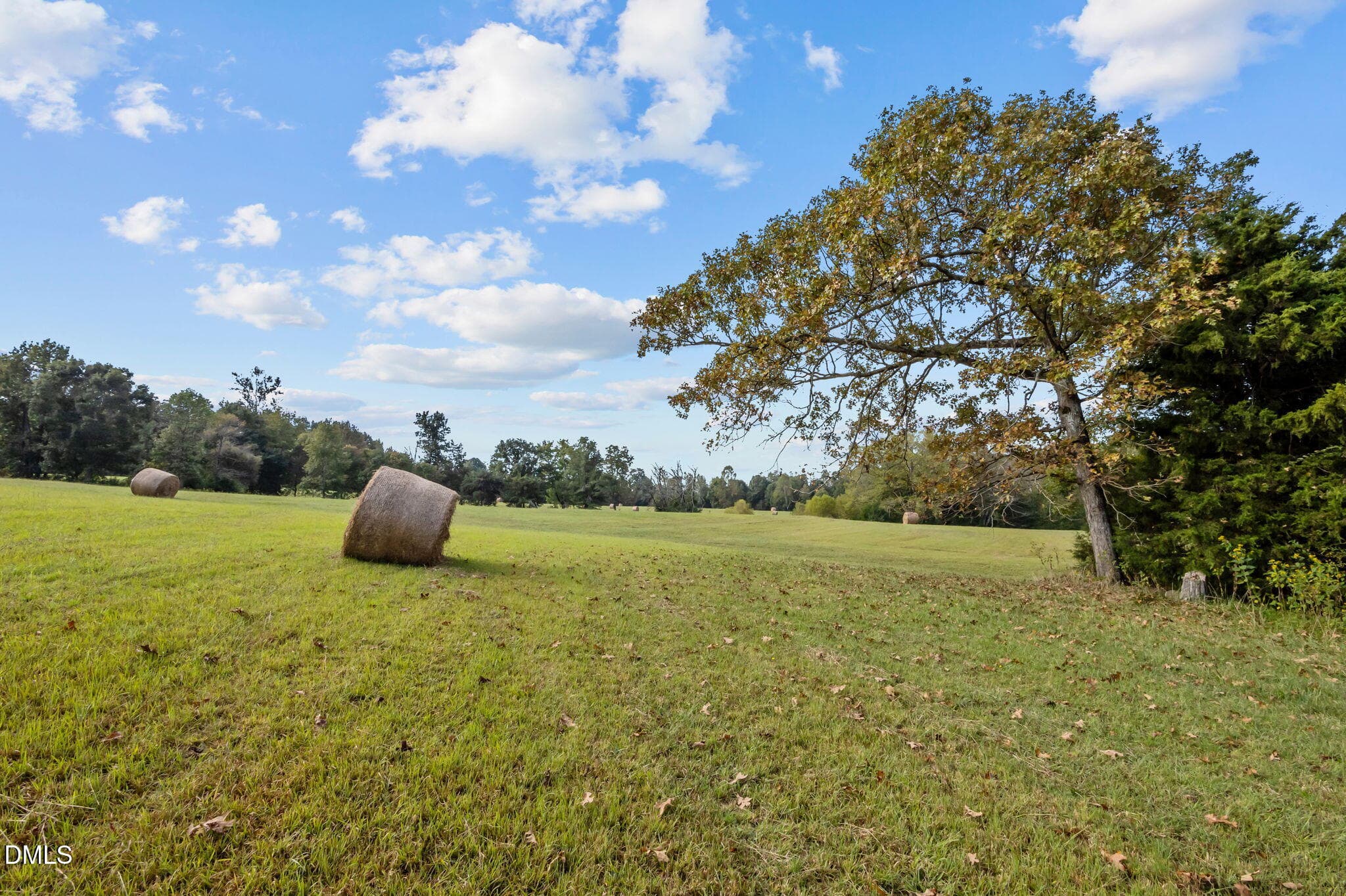 21-web-or-mls-P1086504 - 9400 Wheelers Church Road, Hurdle Mills, NC 27541