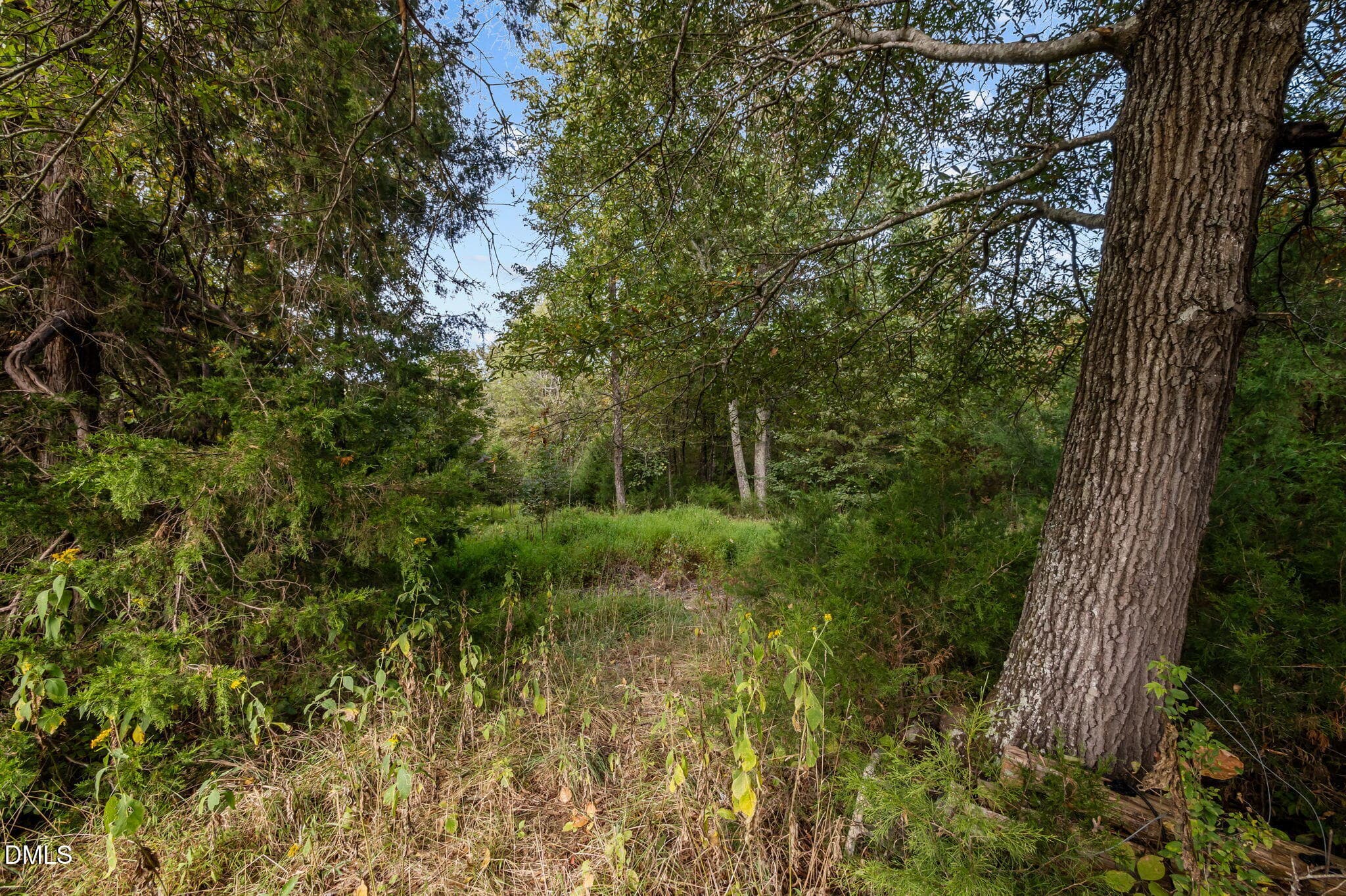 22-web-or-mls-P1086505 - 9400 Wheelers Church Road, Hurdle Mills, NC 27541