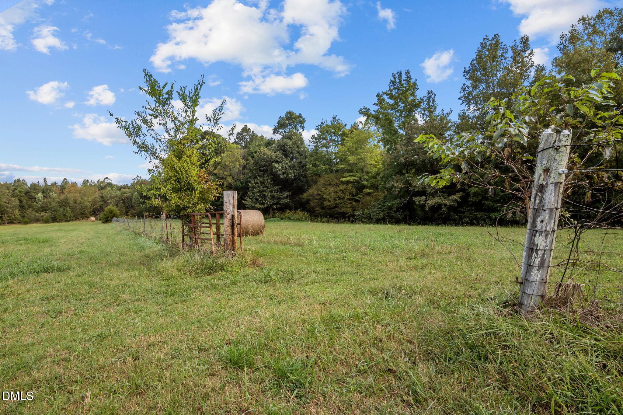 25-web-or-mls-P1086508 - 9400 Wheelers Church Road, Hurdle Mills, NC 27541