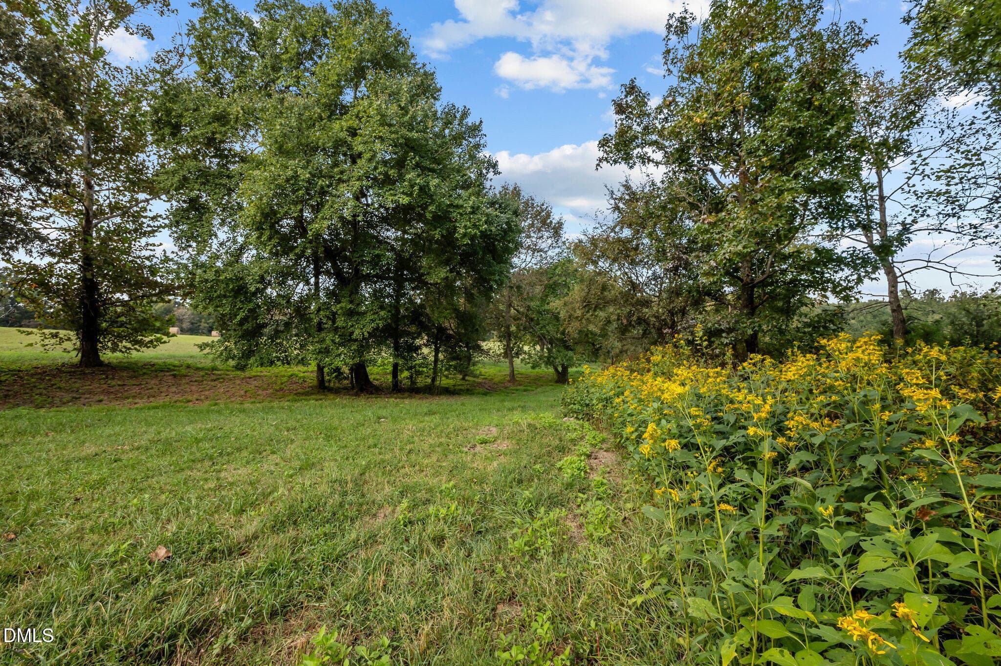 26-web-or-mls-P1086509 - 9400 Wheelers Church Road, Hurdle Mills, NC 27541