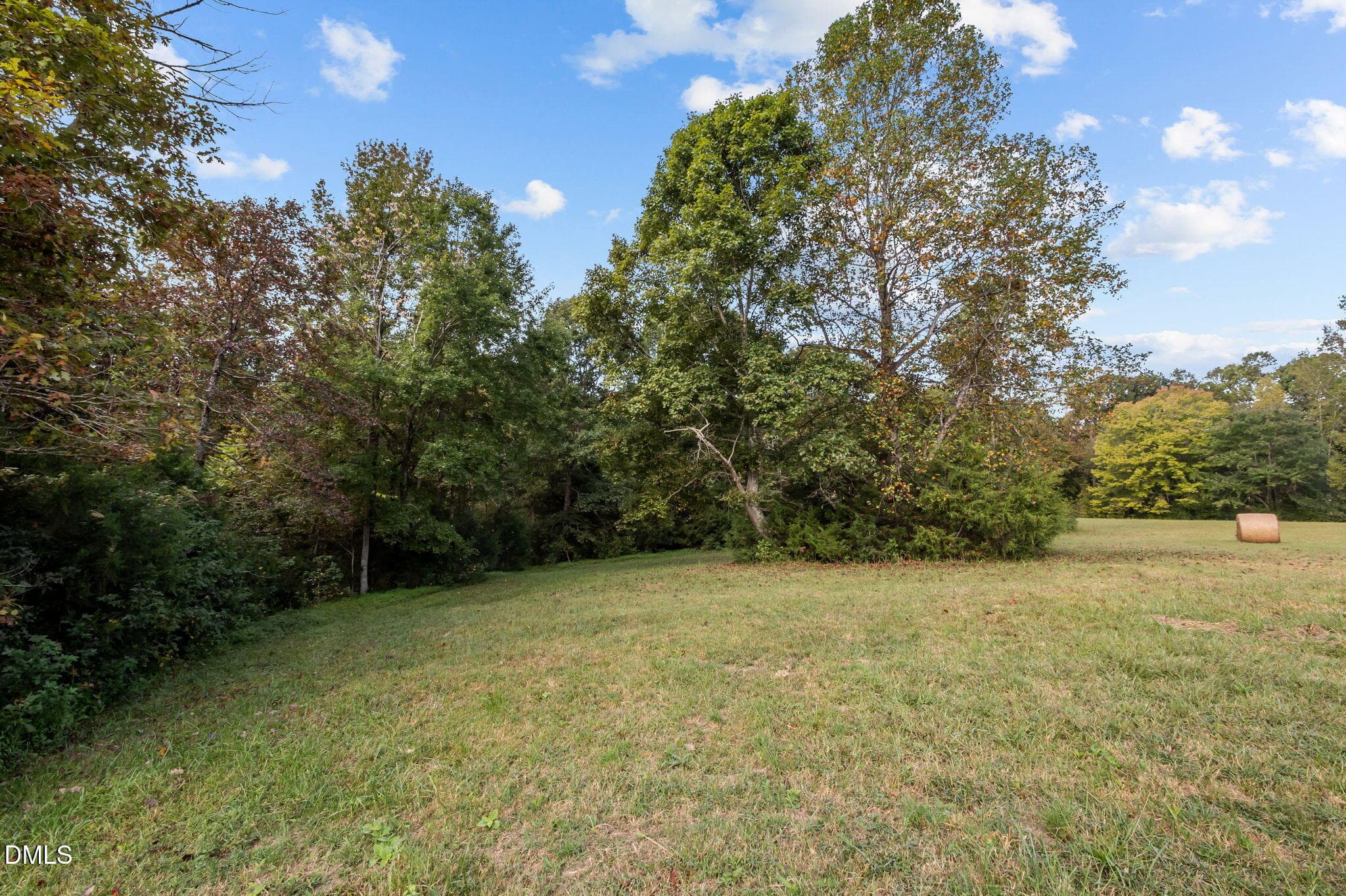 27-web-or-mls-P1086510 - 9400 Wheelers Church Road, Hurdle Mills, NC 27541