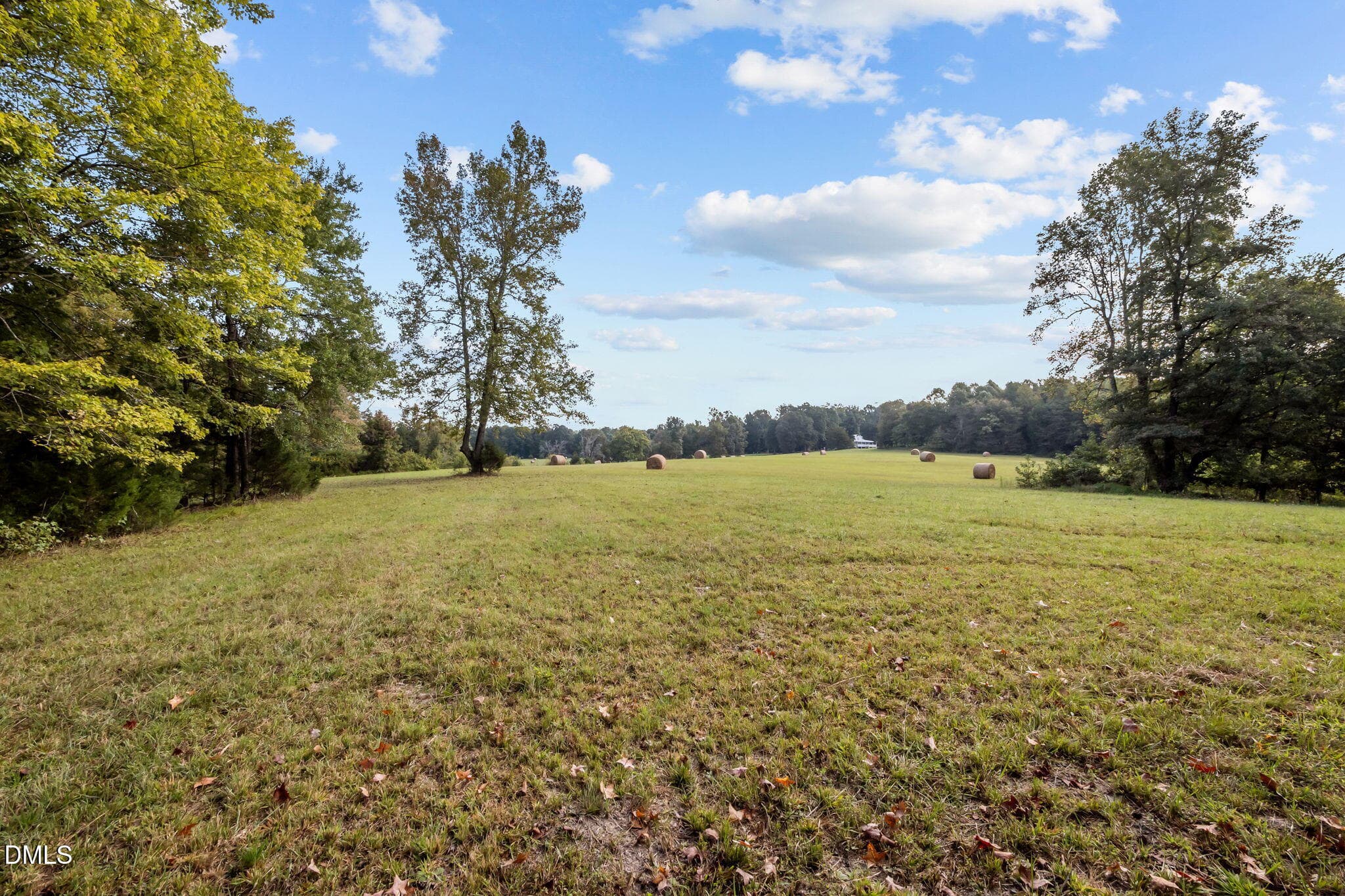 28-web-or-mls-P1086511 - 9400 Wheelers Church Road, Hurdle Mills, NC 27541