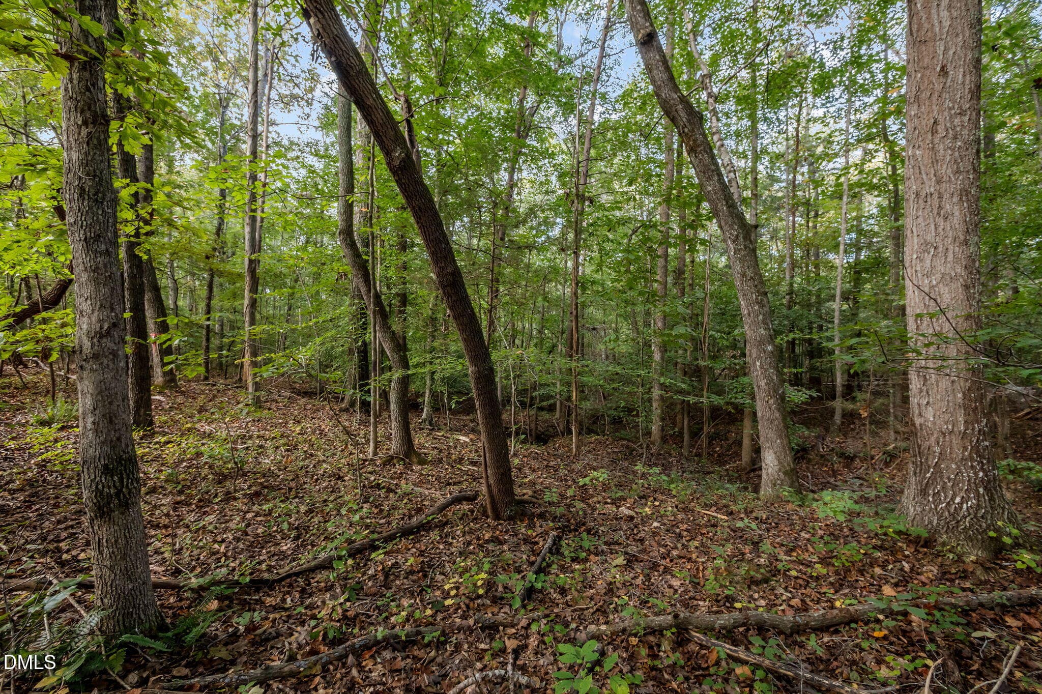 29-web-or-mls-P1086512 - 9400 Wheelers Church Road, Hurdle Mills, NC 27541
