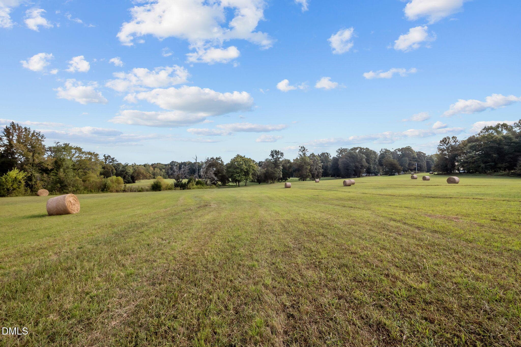 30-web-or-mls-P1086513 - 9400 Wheelers Church Road, Hurdle Mills, NC 27541