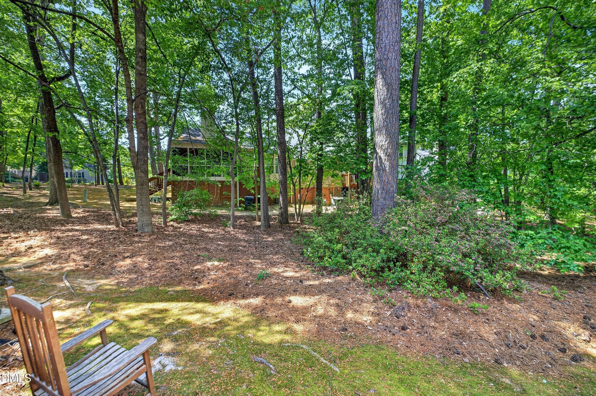 wooded back yard - 109 Sanair Court, Apex, NC 27502