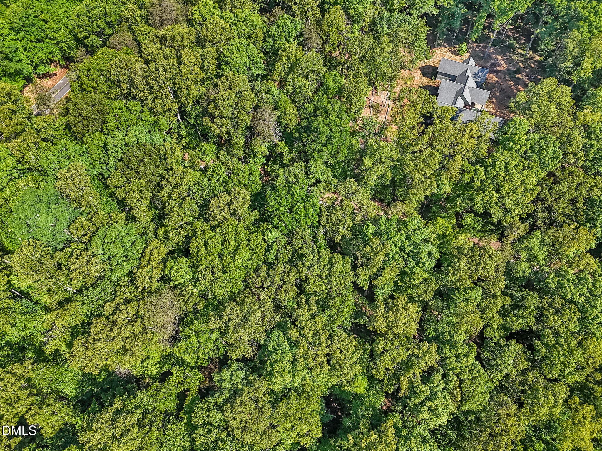 3-web-or-mls-DJI_20260504102956_0559_D - 3820 Riversound Lane, Hurdle Mills, NC 27541