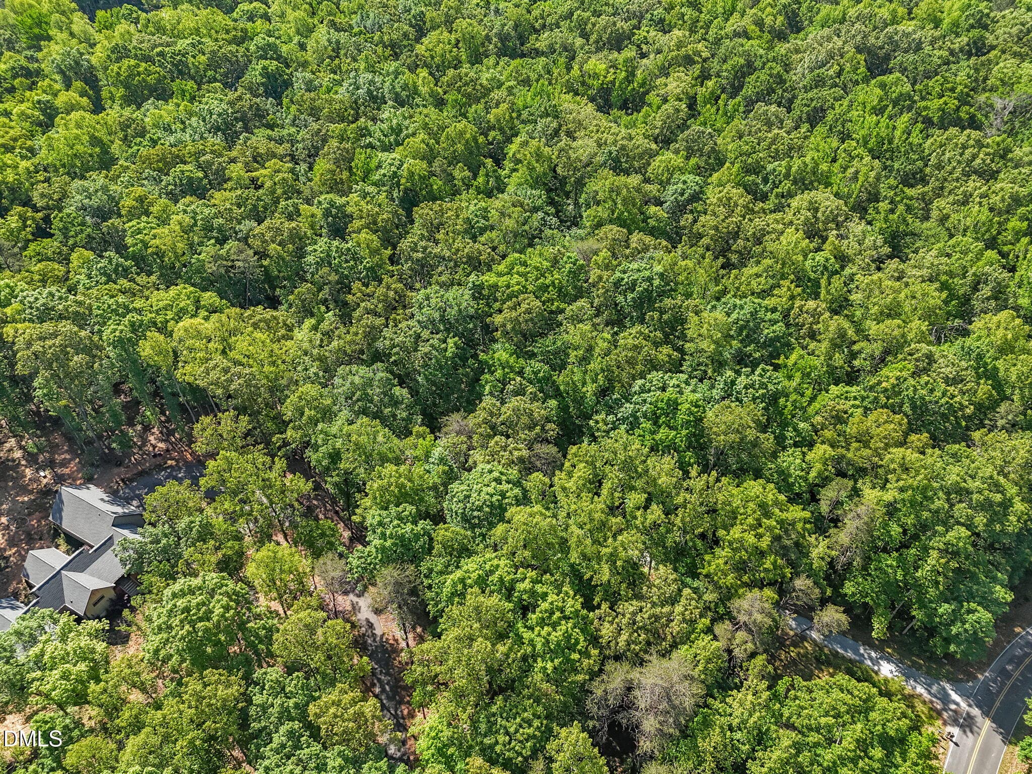 4-web-or-mls-DJI_20260504103115_0561_D - 3820 Riversound Lane, Hurdle Mills, NC 27541