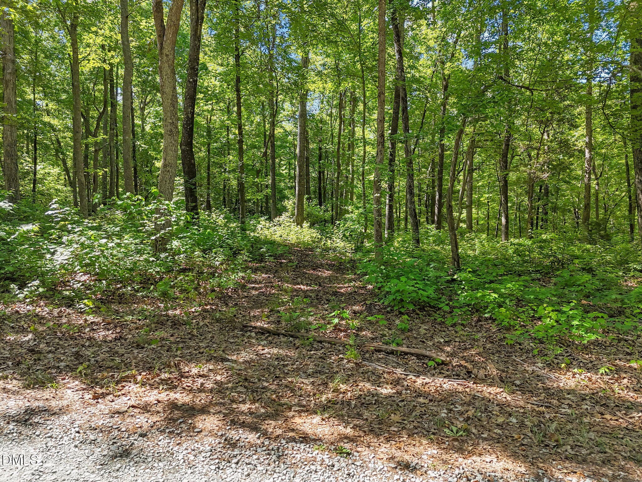 6-web-or-mls-DJI_20260504103355_0563_D - 3820 Riversound Lane, Hurdle Mills, NC 27541