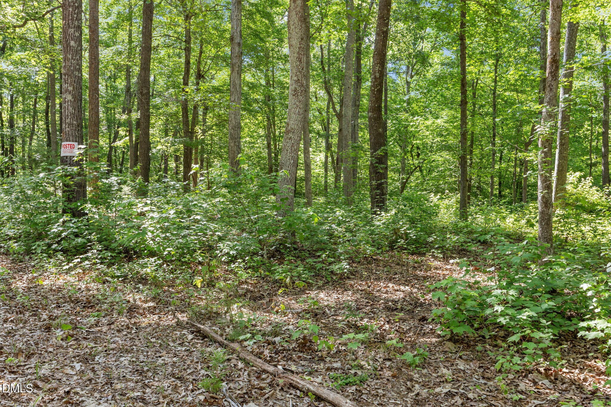 13-web-or-mls-IMG_3698 - 3820 Riversound Lane, Hurdle Mills, NC 27541